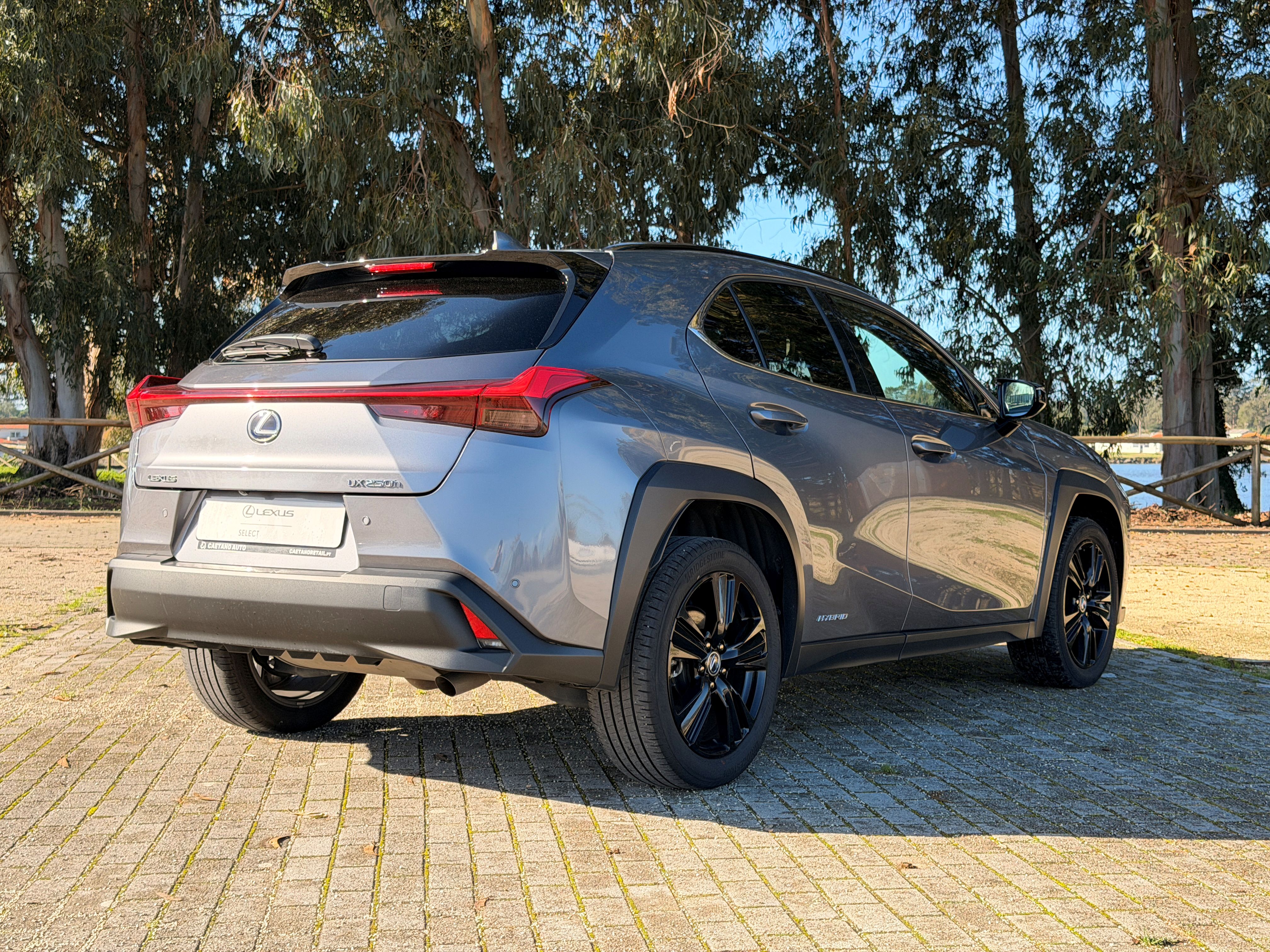 LEXUS UX 250H UX 250h Special Edition