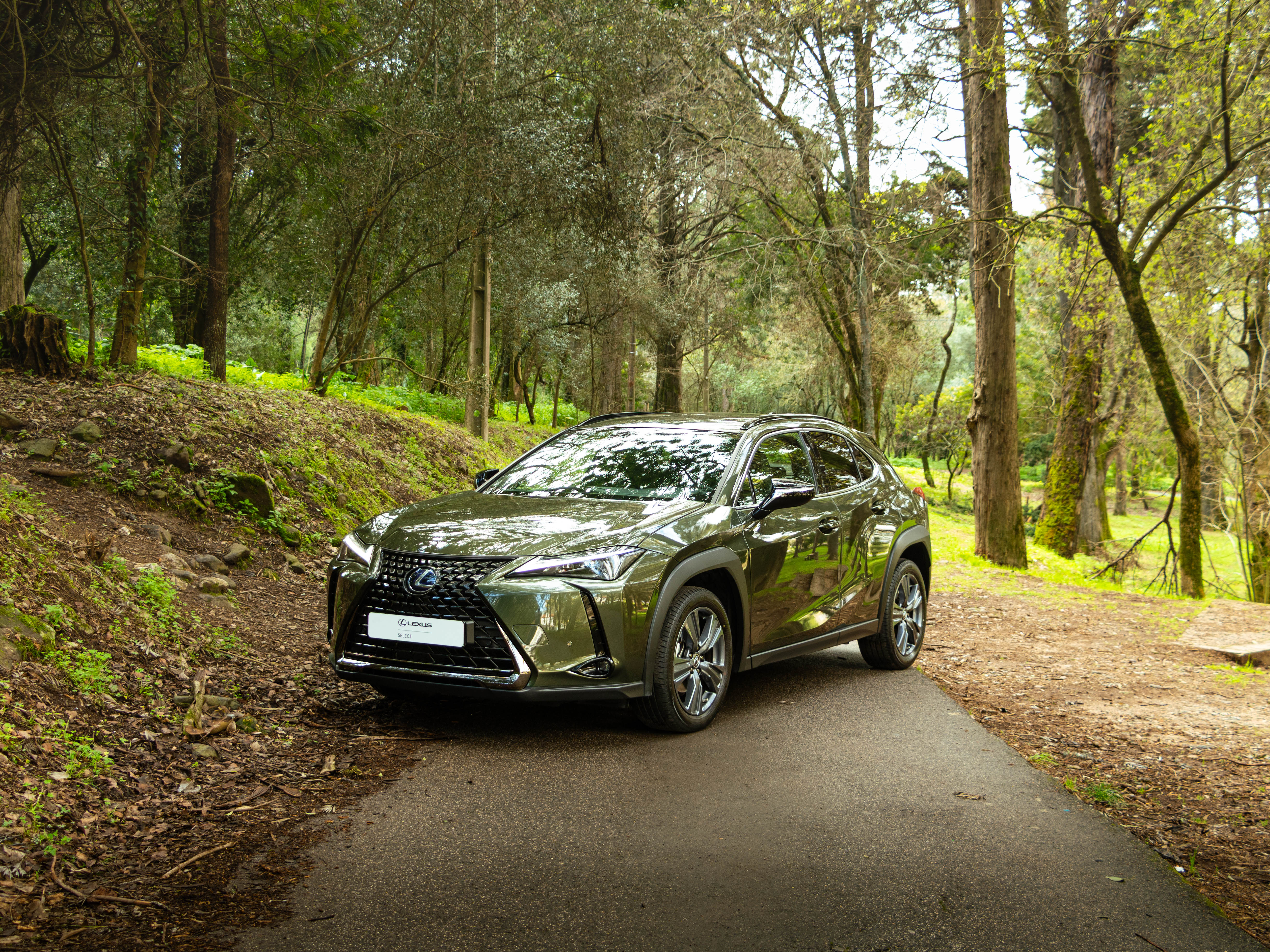 LEXUS UX 250H UX 250h Special Edition