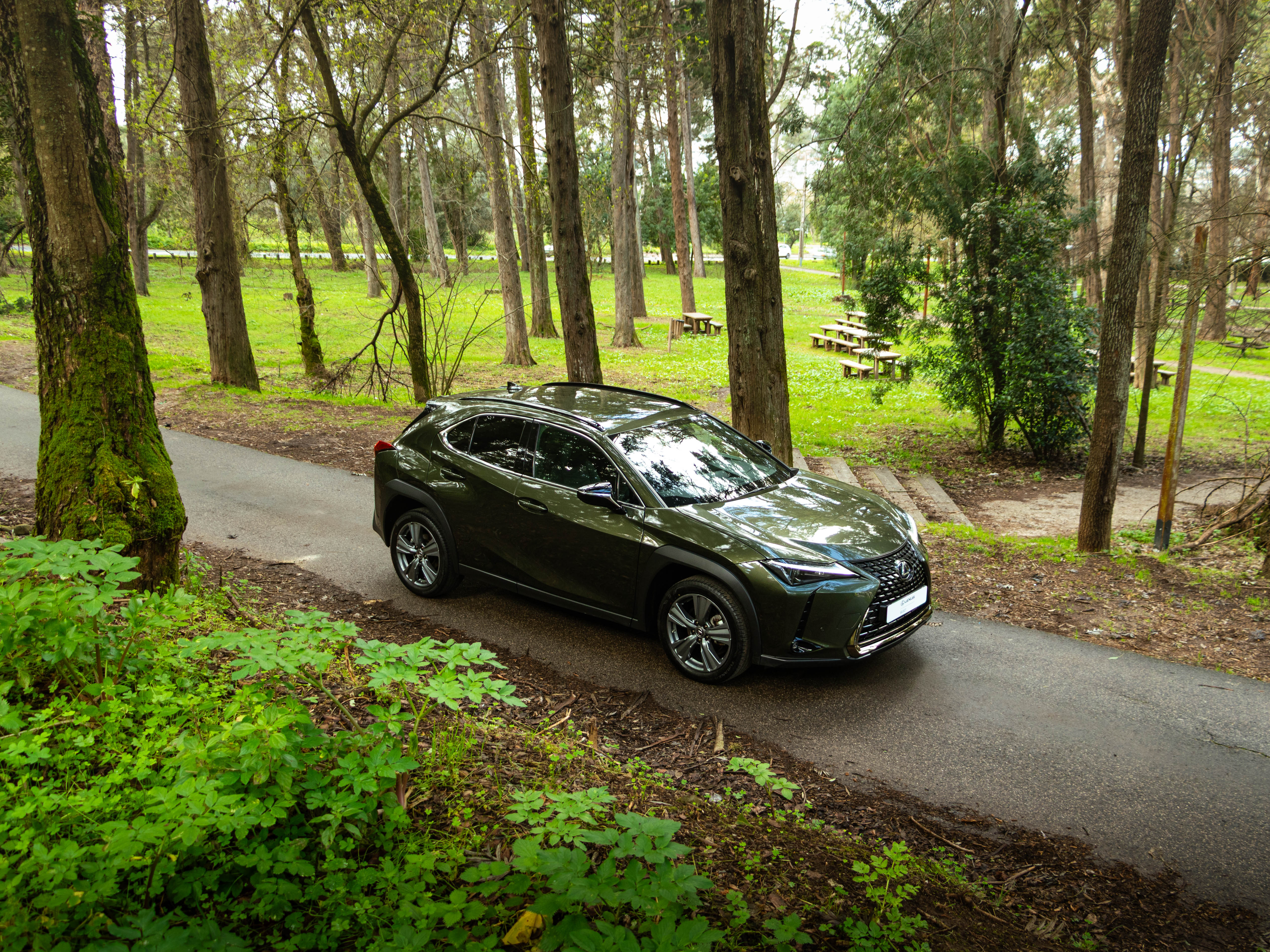 LEXUS UX 250H UX 250h Special Edition