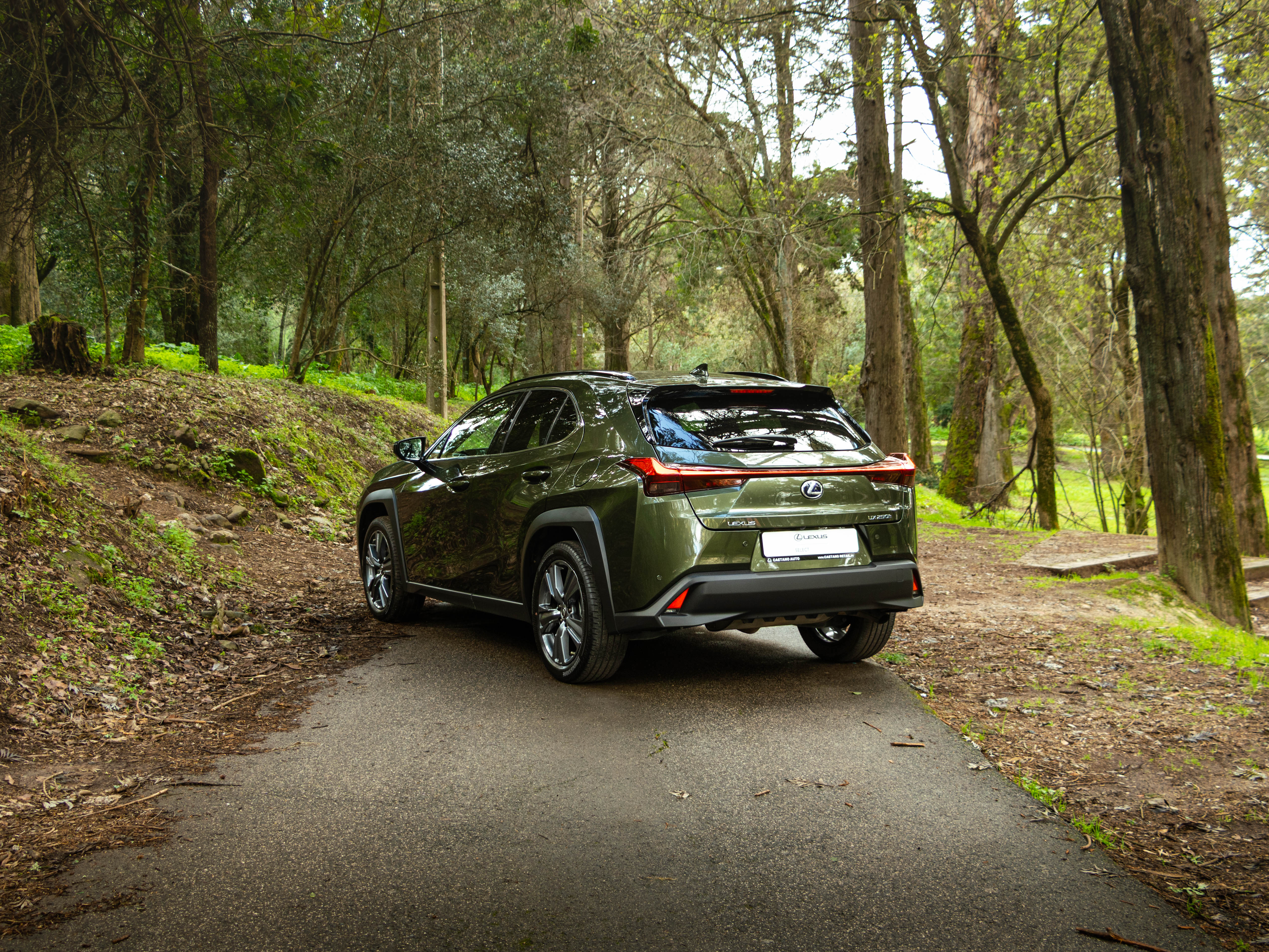 LEXUS UX 250H UX 250h Special Edition
