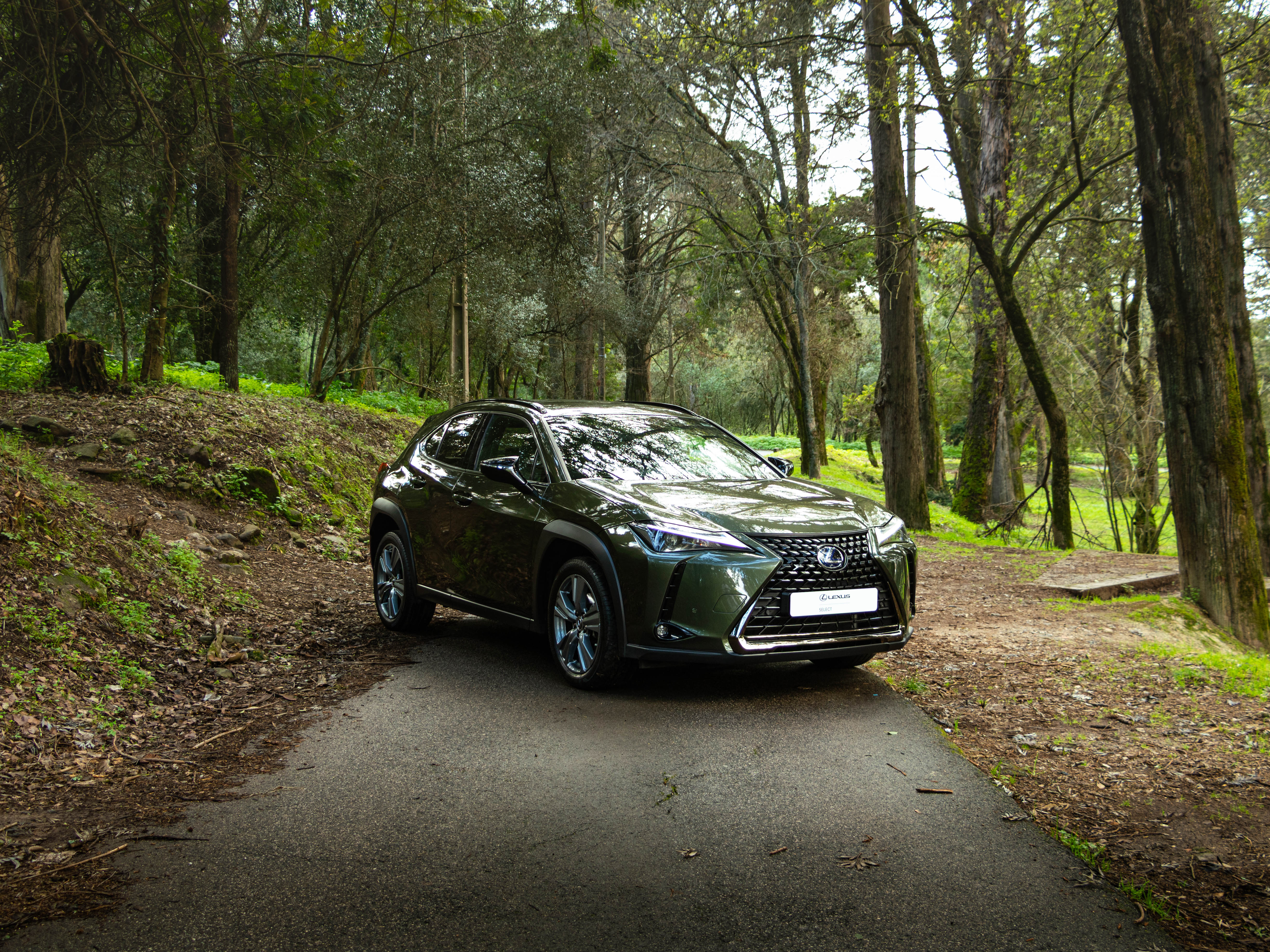 LEXUS UX 250H UX 250h Special Edition
