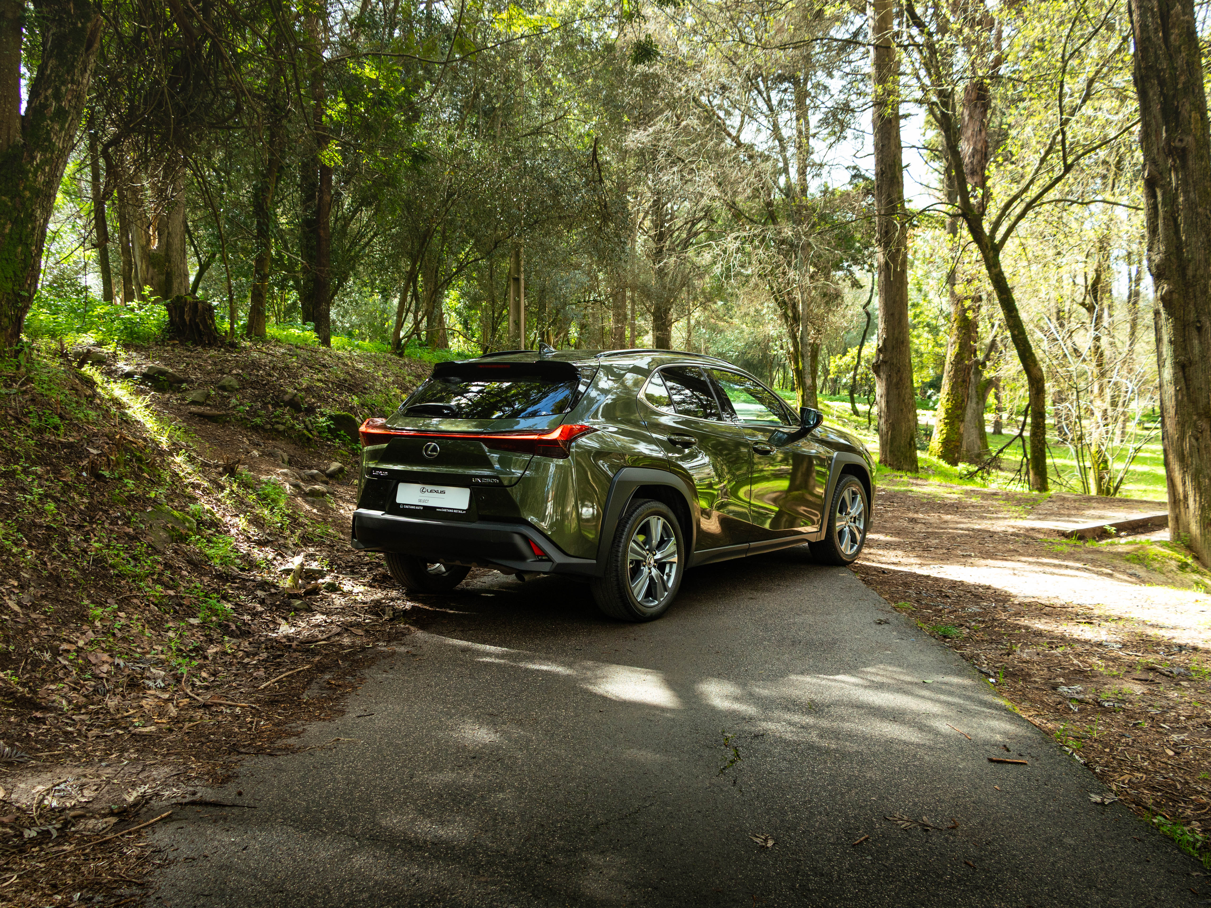 LEXUS UX 250H UX 250h Special Edition