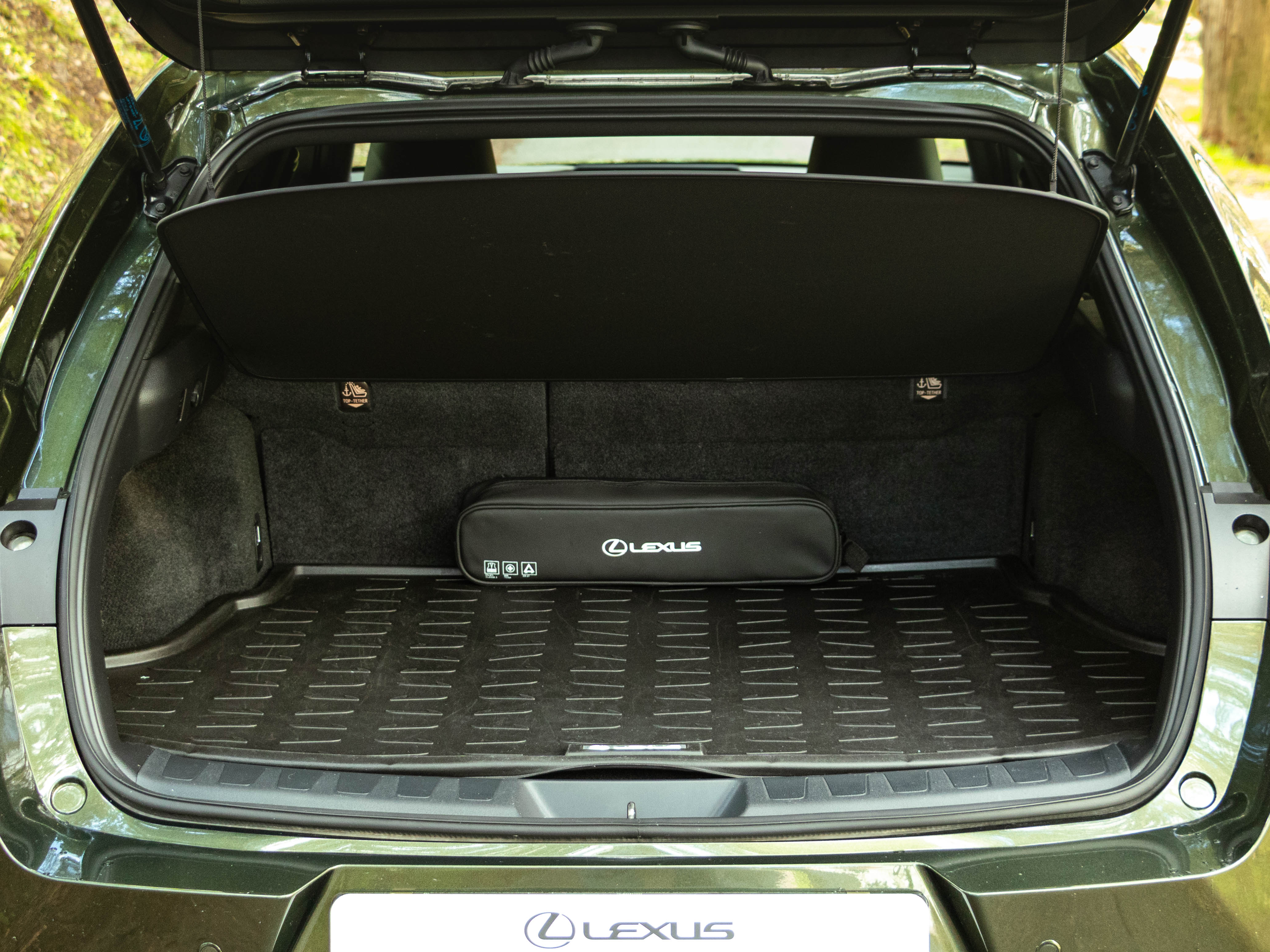 LEXUS UX 250H UX 250h Special Edition