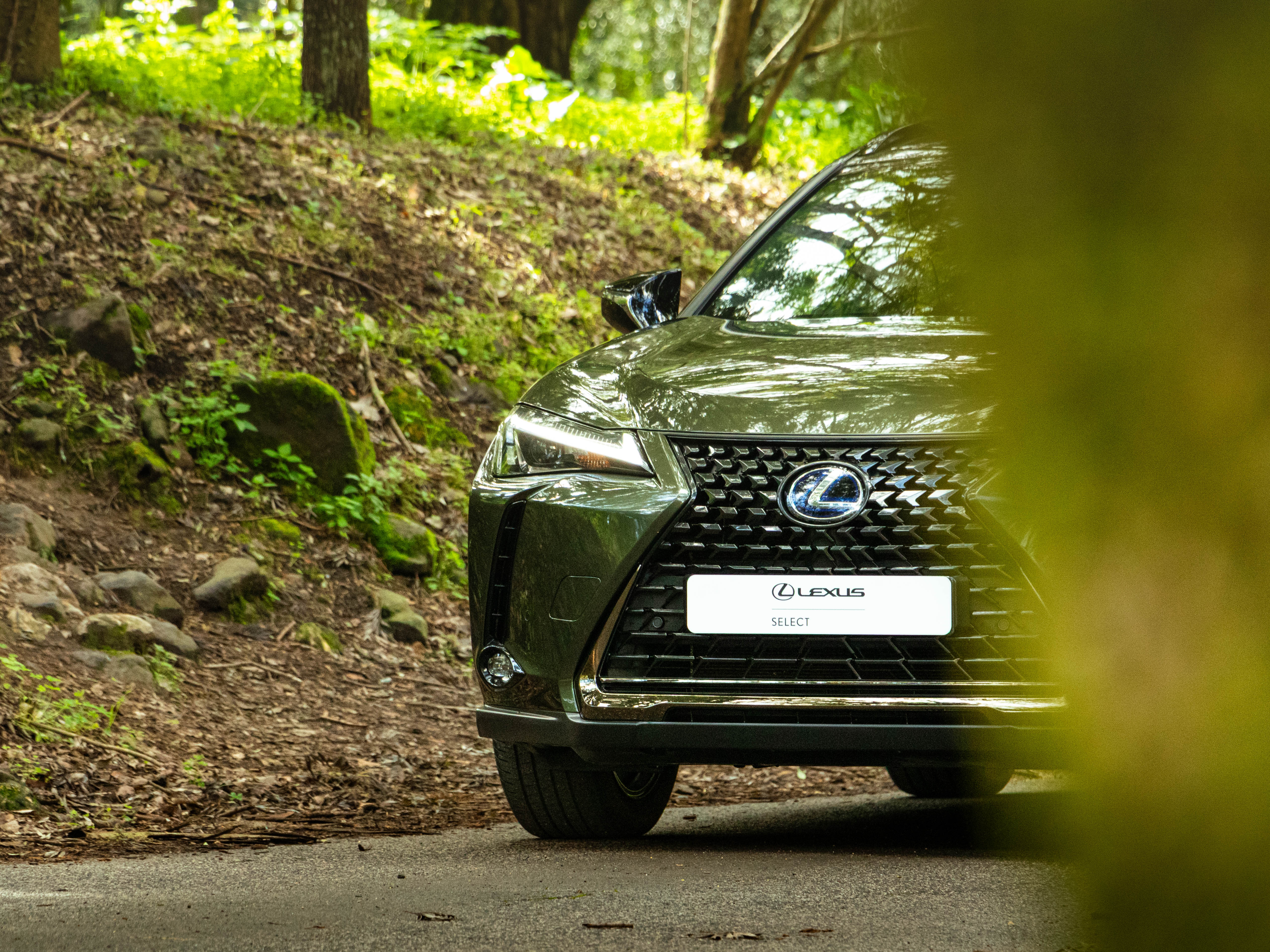 LEXUS UX 250H UX 250h Special Edition
