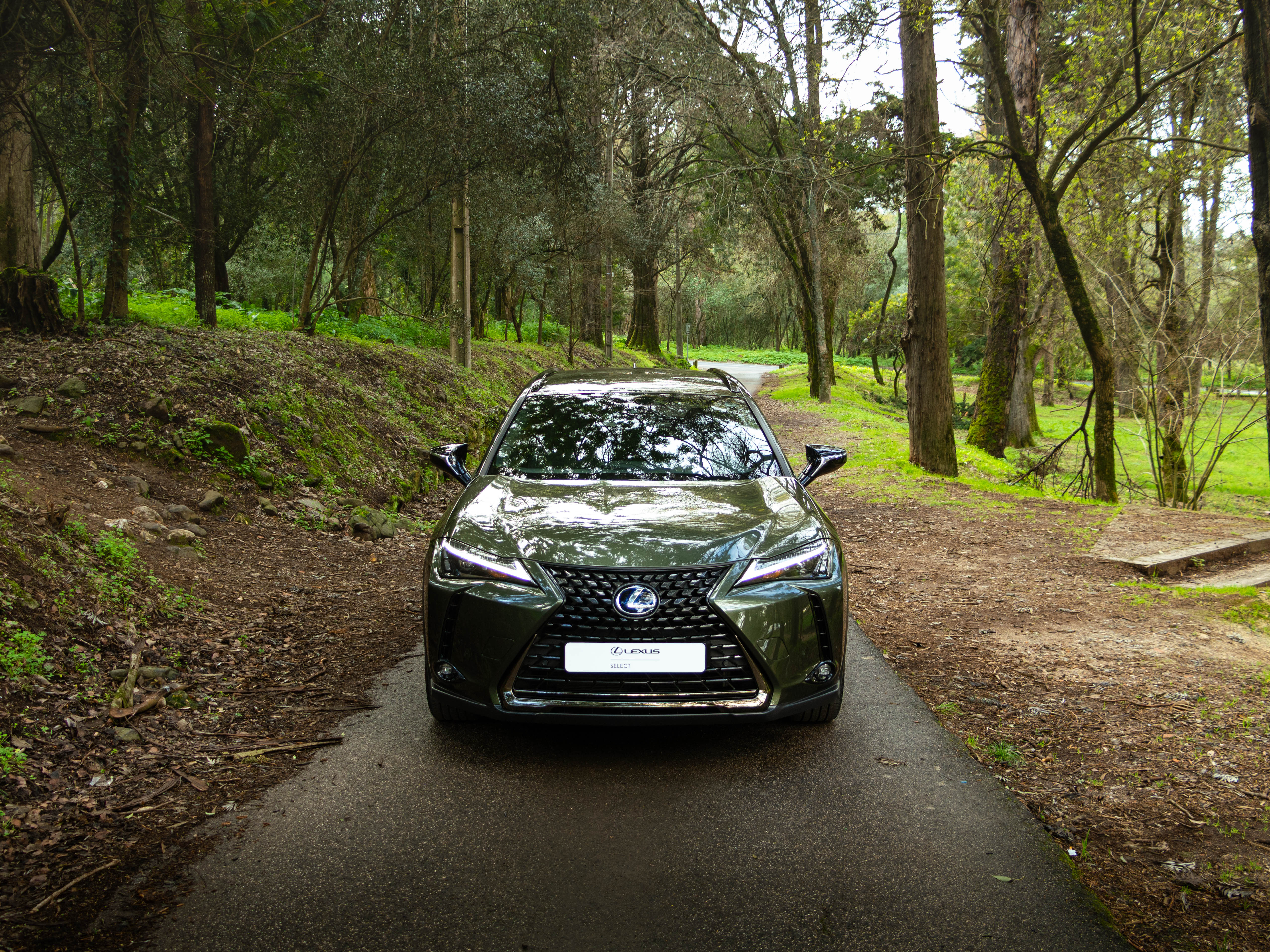 LEXUS UX 250H UX 250h Special Edition