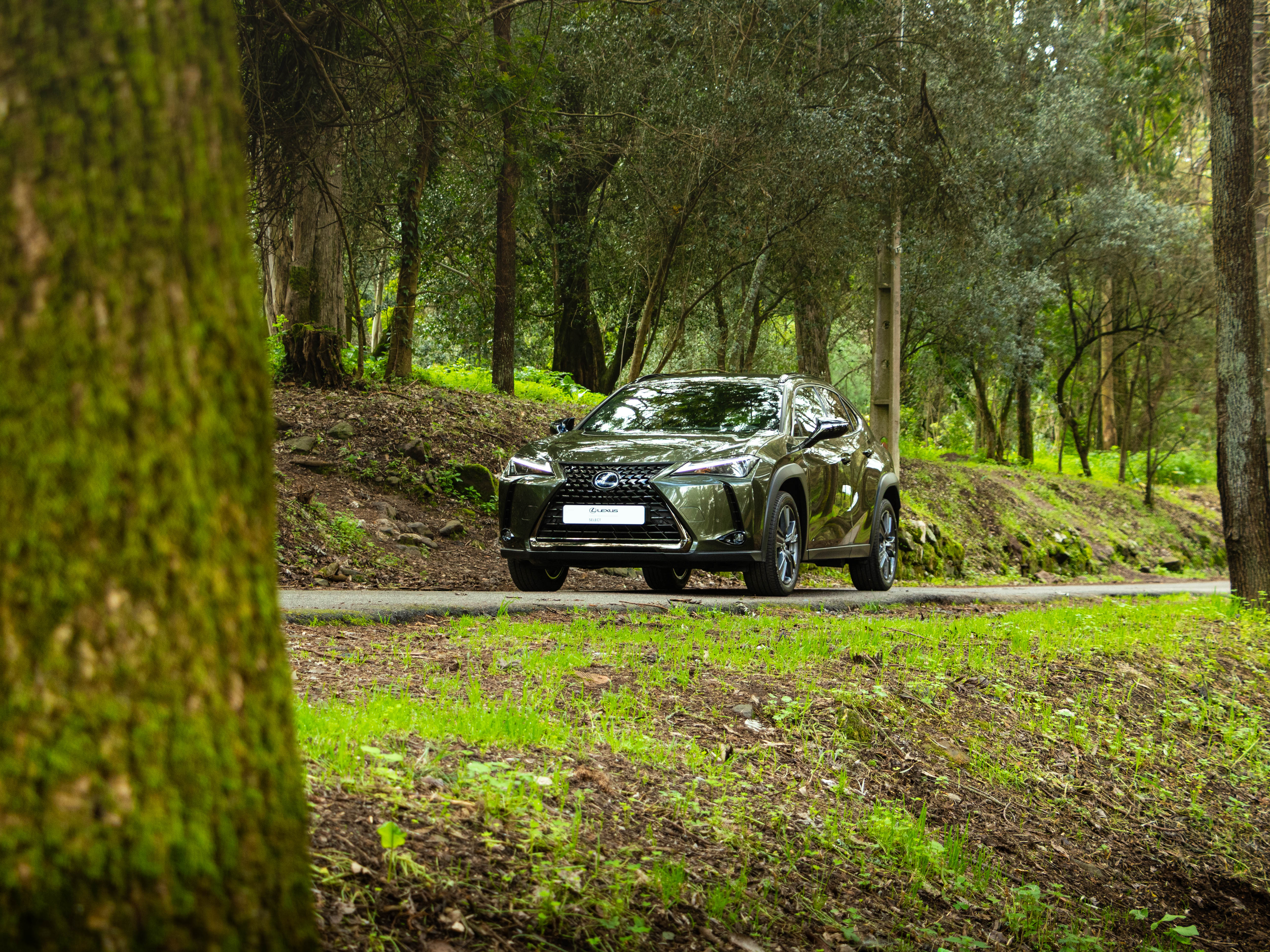 LEXUS UX 250H UX 250h Special Edition