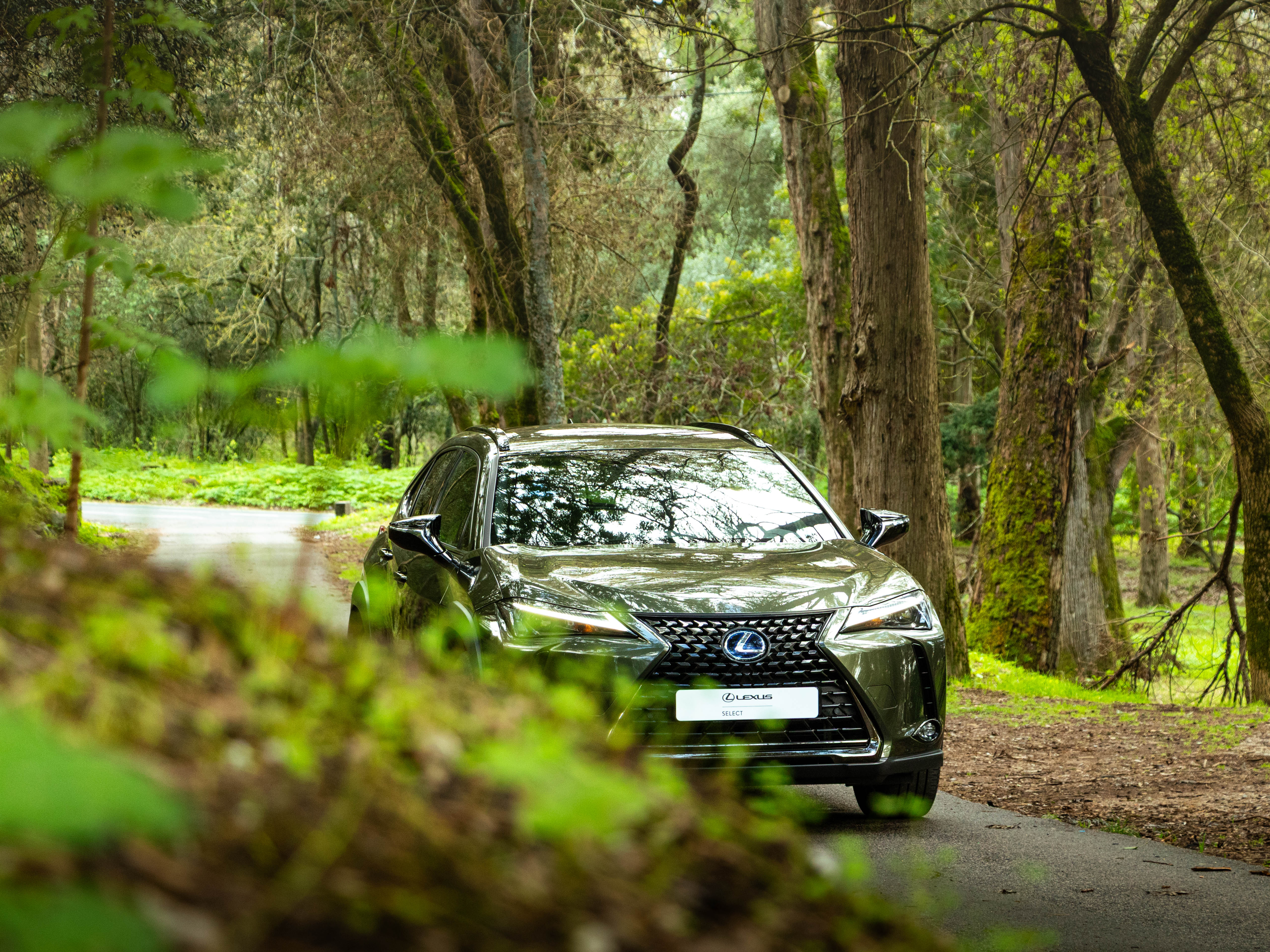LEXUS UX 250H UX 250h Special Edition