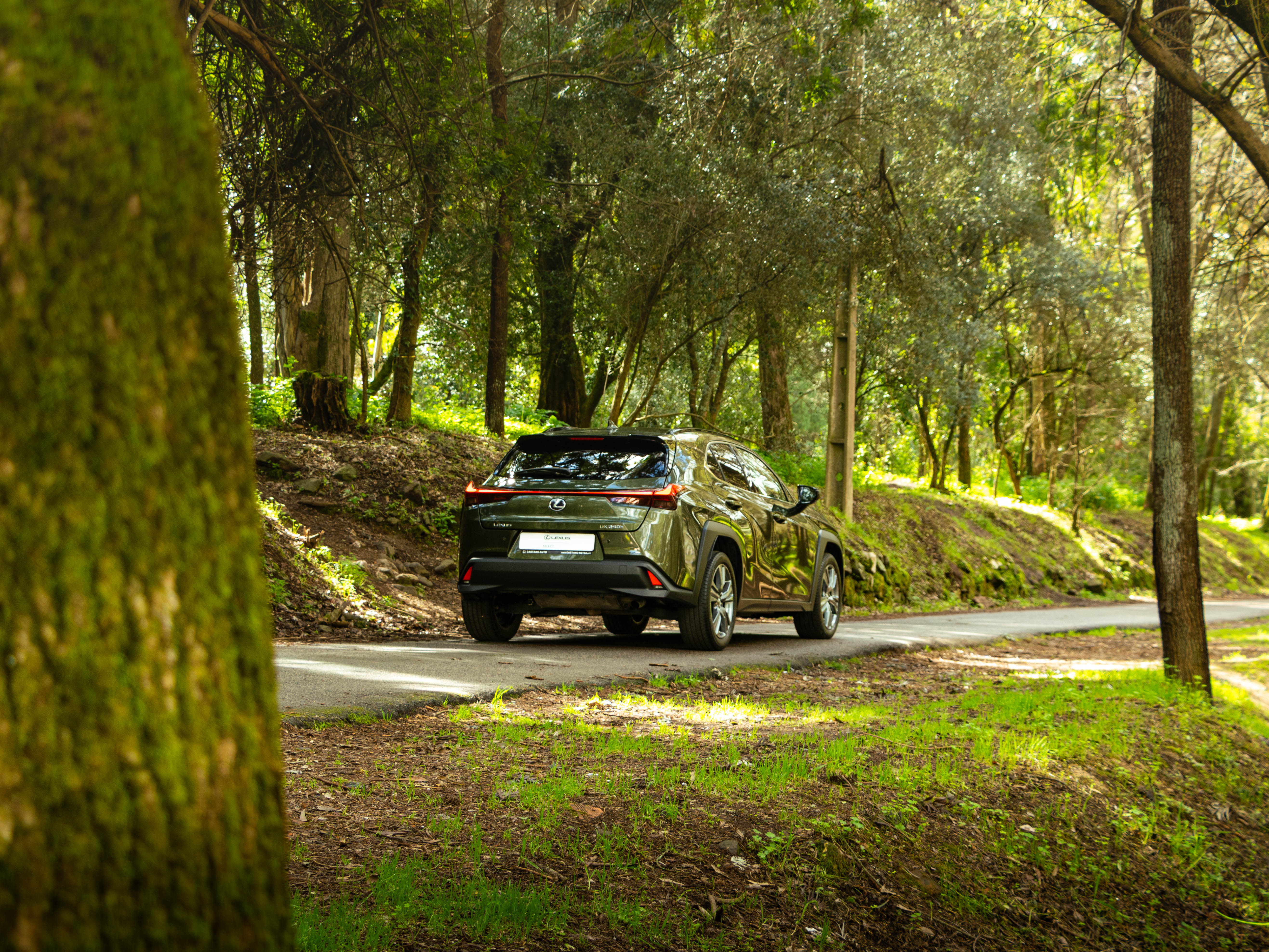 LEXUS UX 250H UX 250h Special Edition
