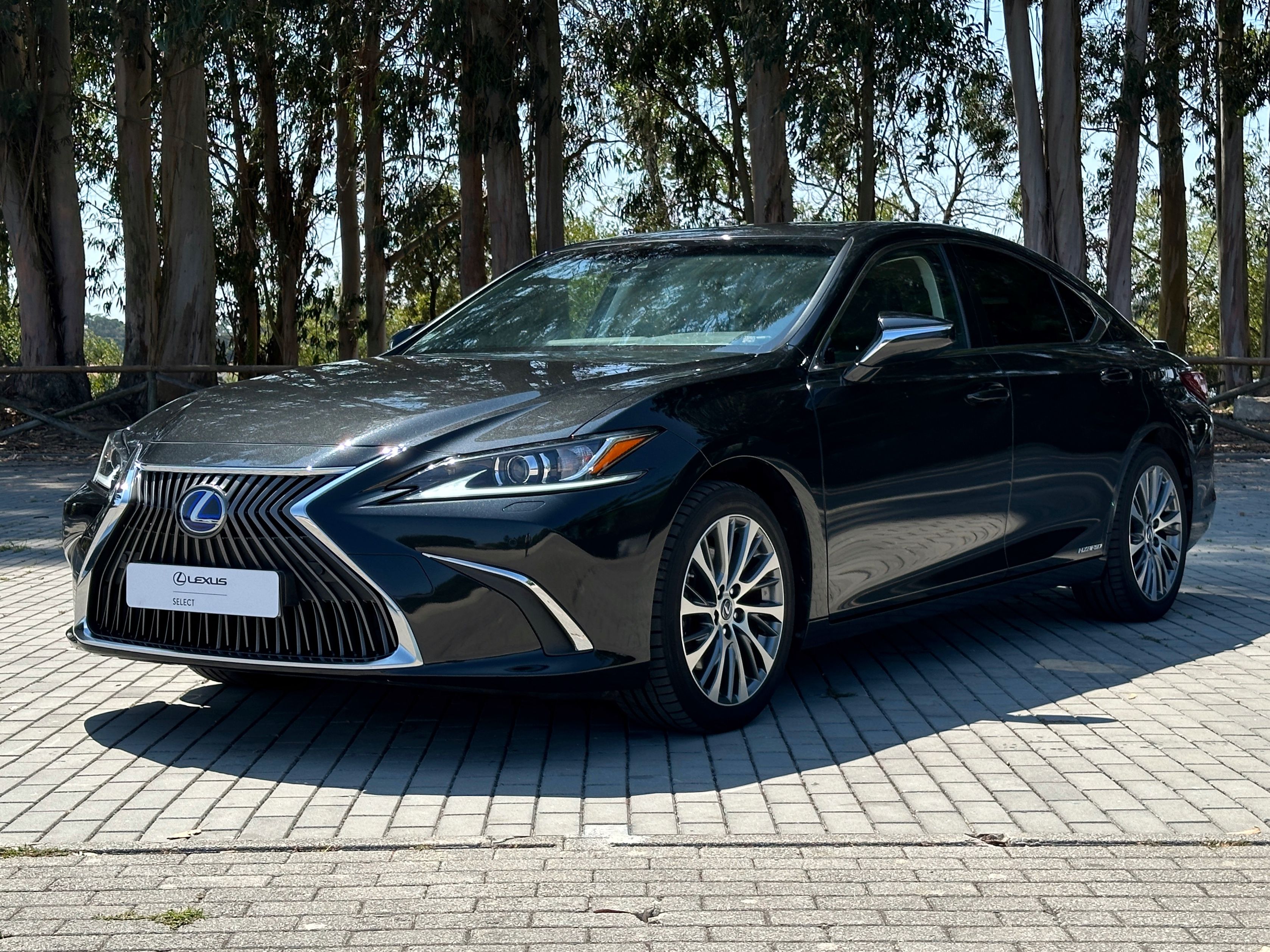 LEXUS ES 300H ES 300h Special Edition