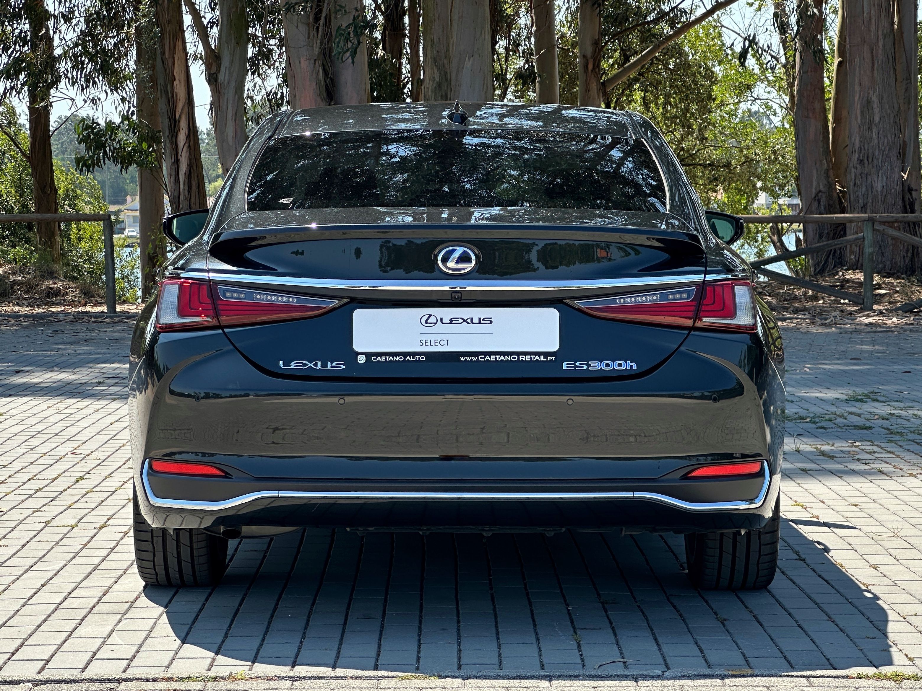 LEXUS ES 300H ES 300h Special Edition