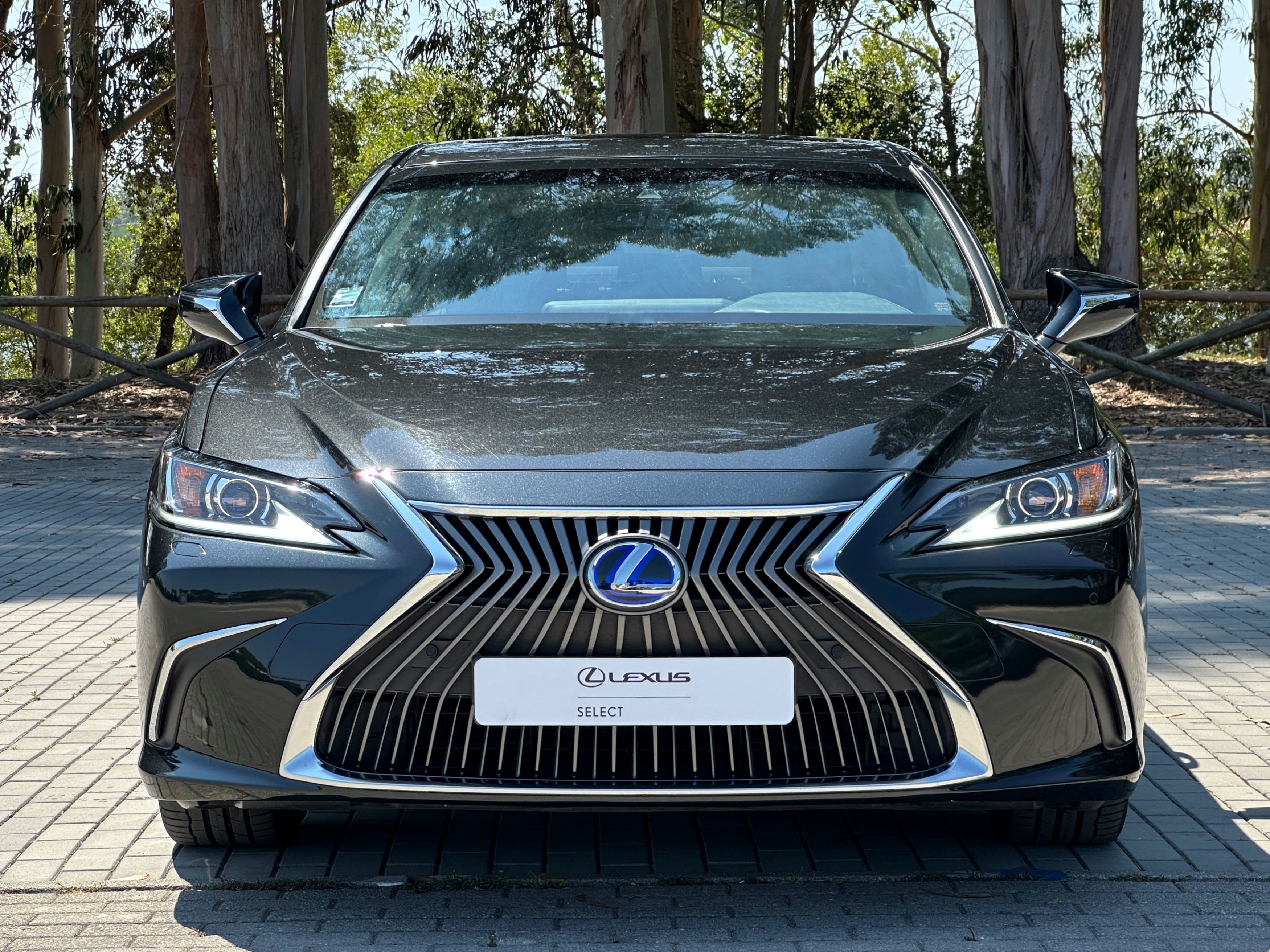 LEXUS ES 300H ES 300h Special Edition