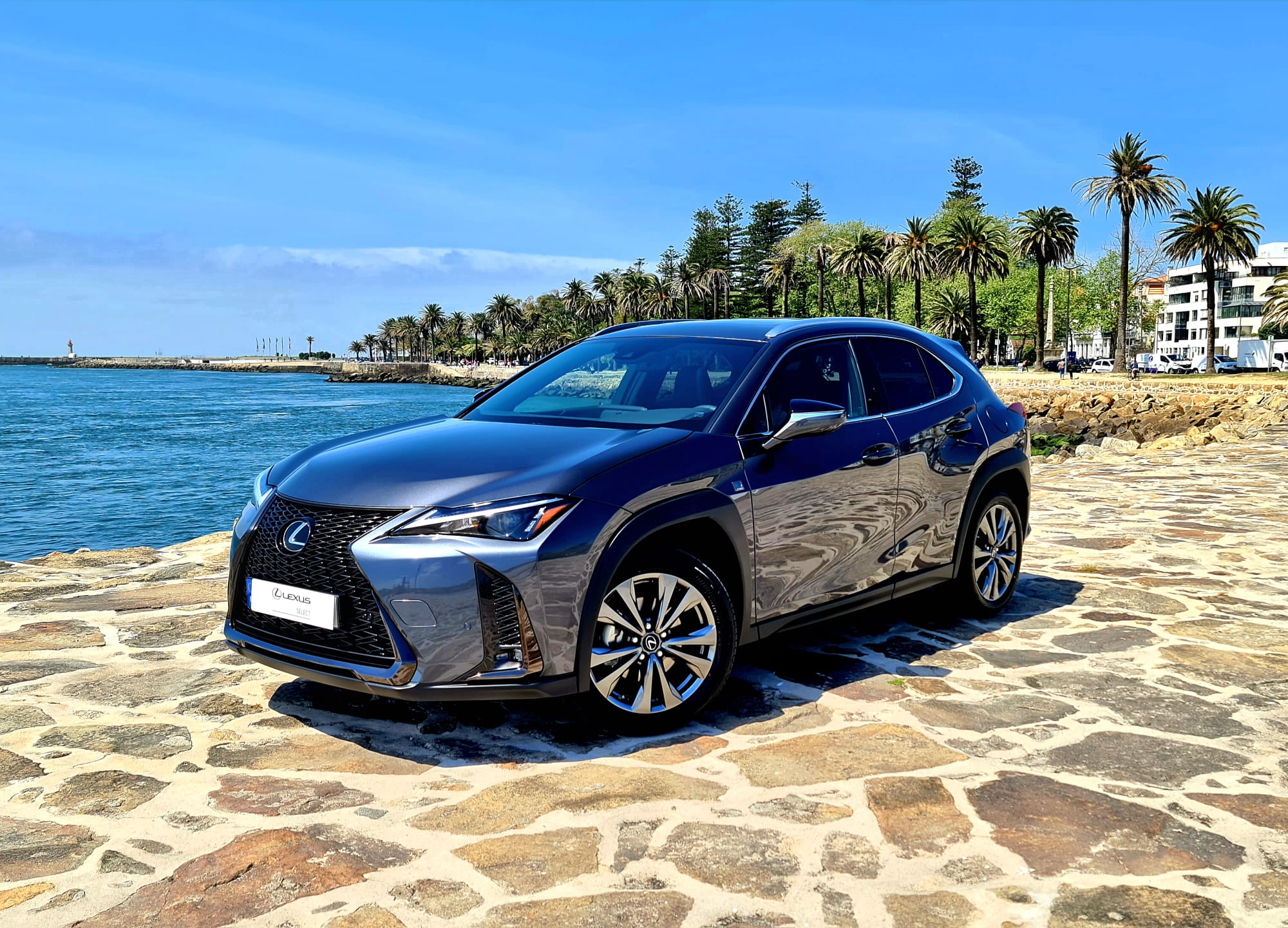 LEXUS UX 250H UX 250h Sport