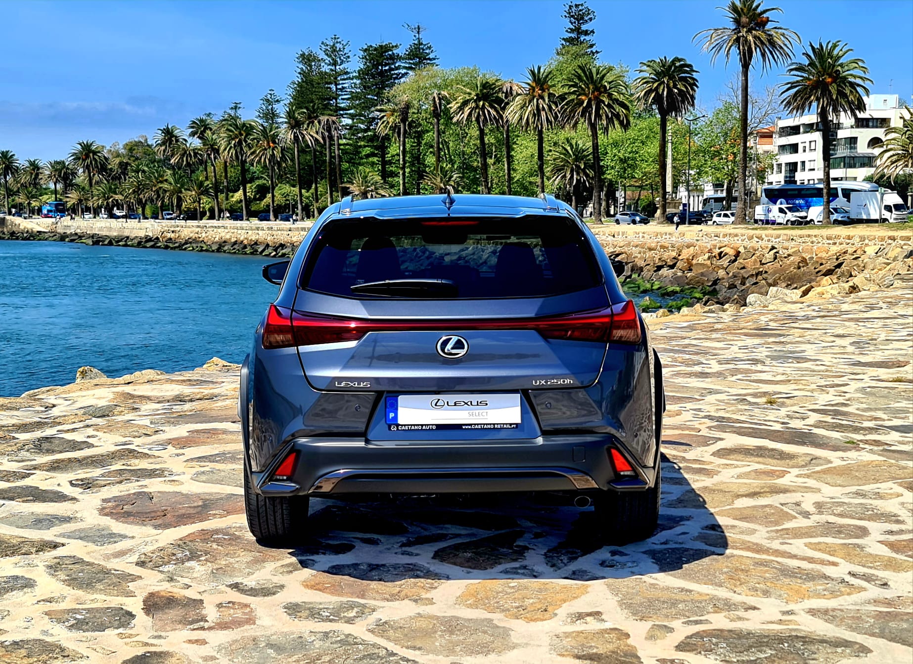 LEXUS UX 250H UX 250h Sport