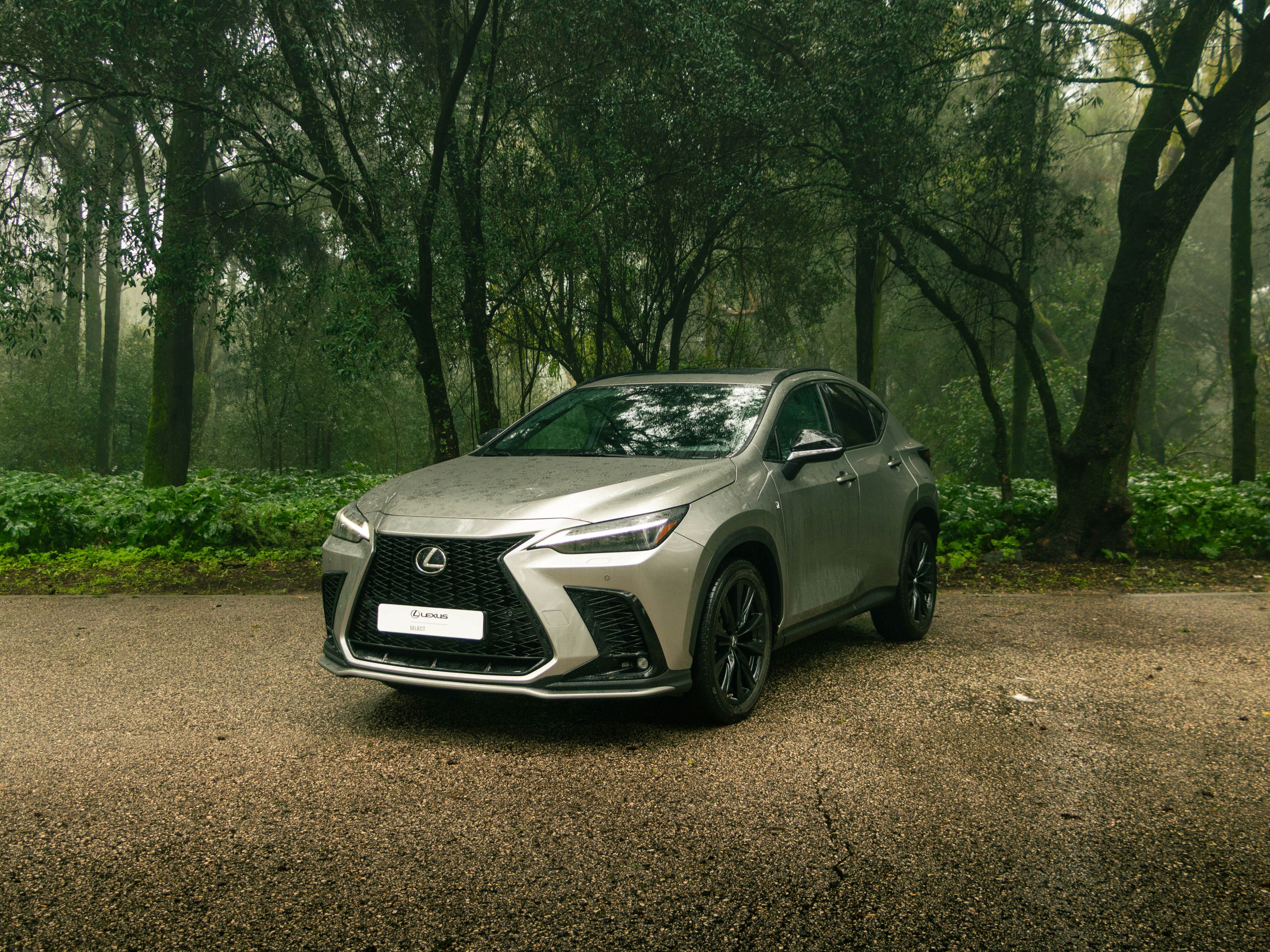 LEXUS NX450H+ NX 450h+ F Sport