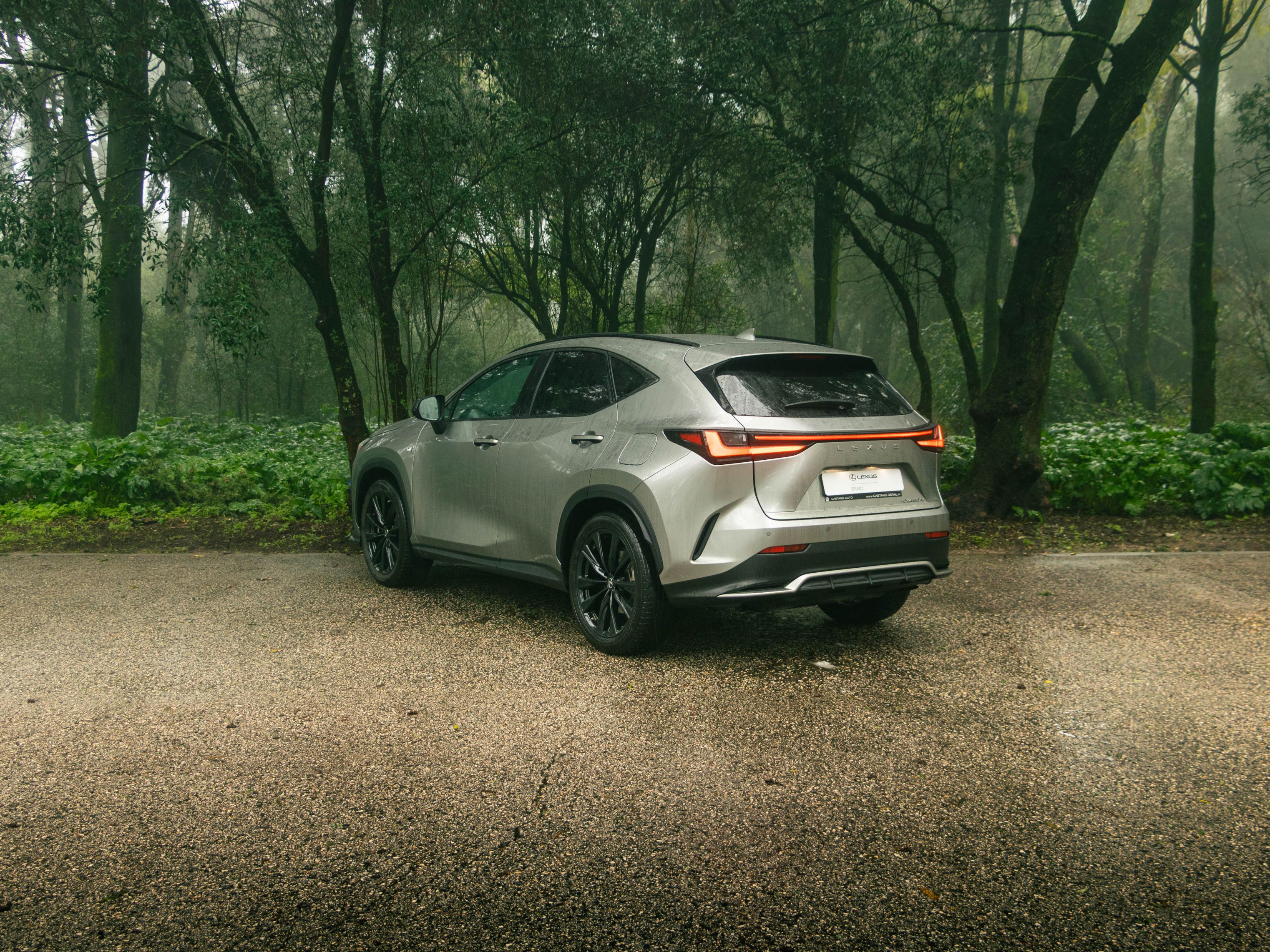 LEXUS NX450H+ NX 450h+ F Sport