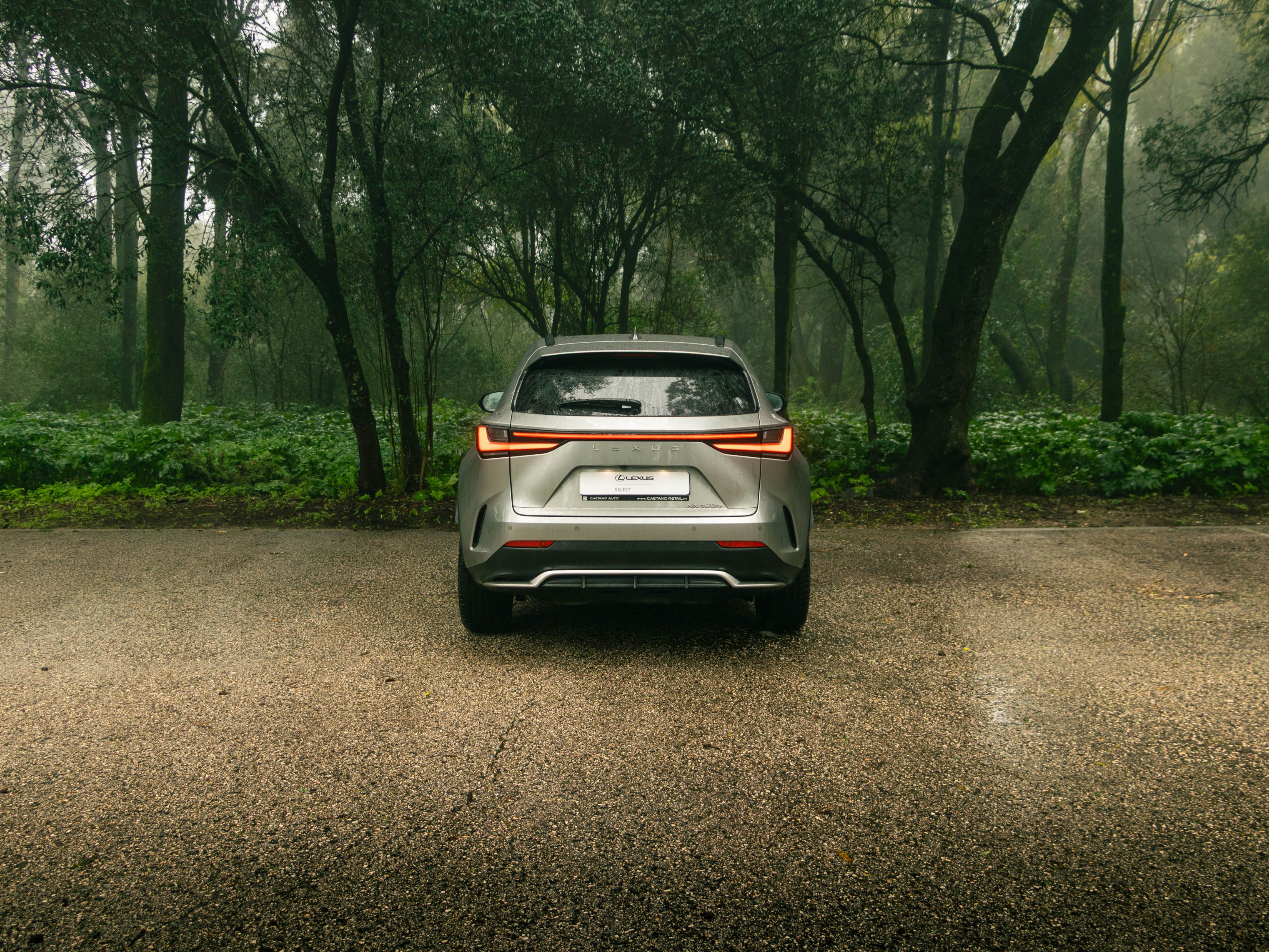 LEXUS NX450H+ NX 450h+ F Sport