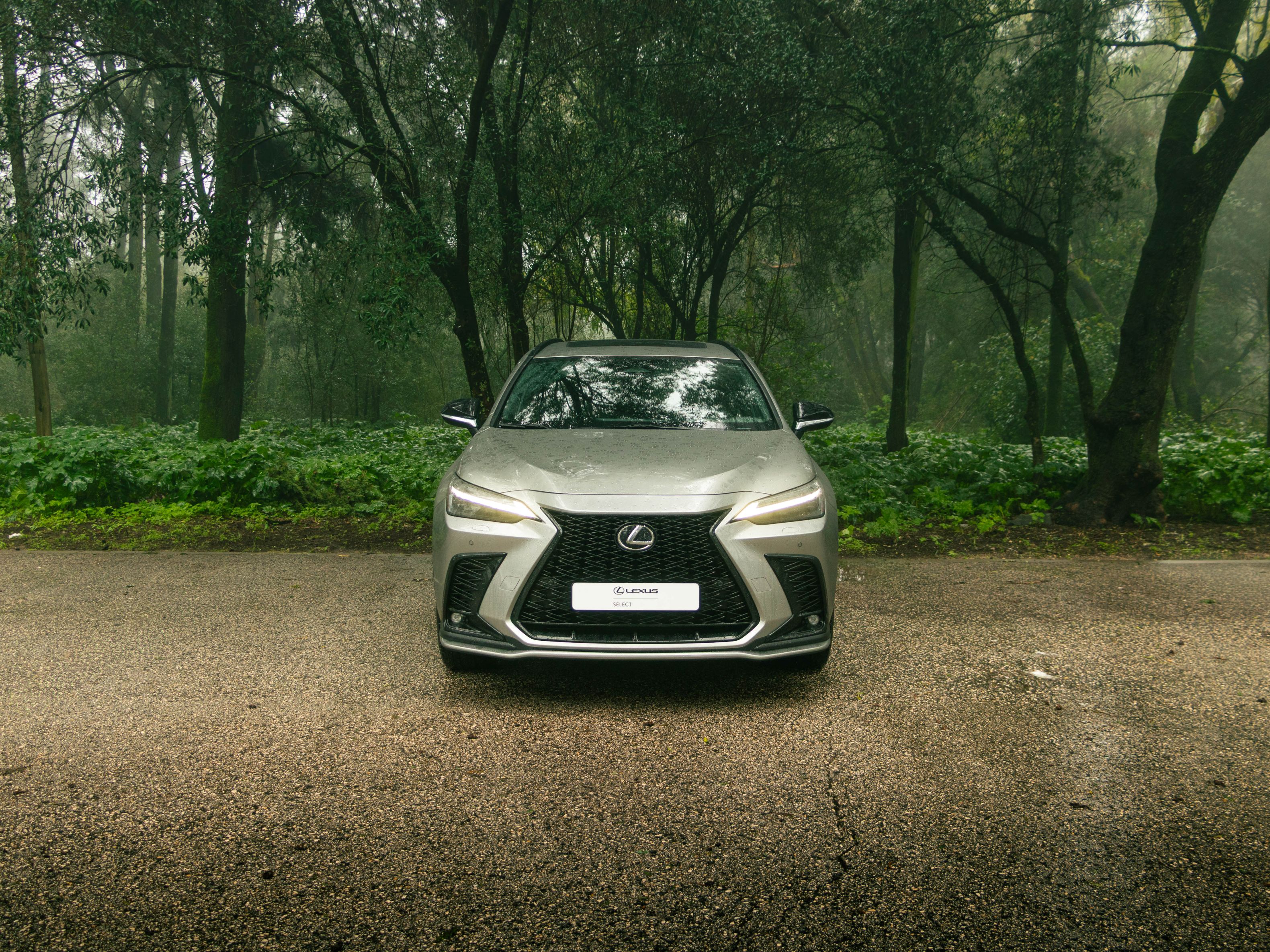 LEXUS NX450H+ NX 450h+ F Sport