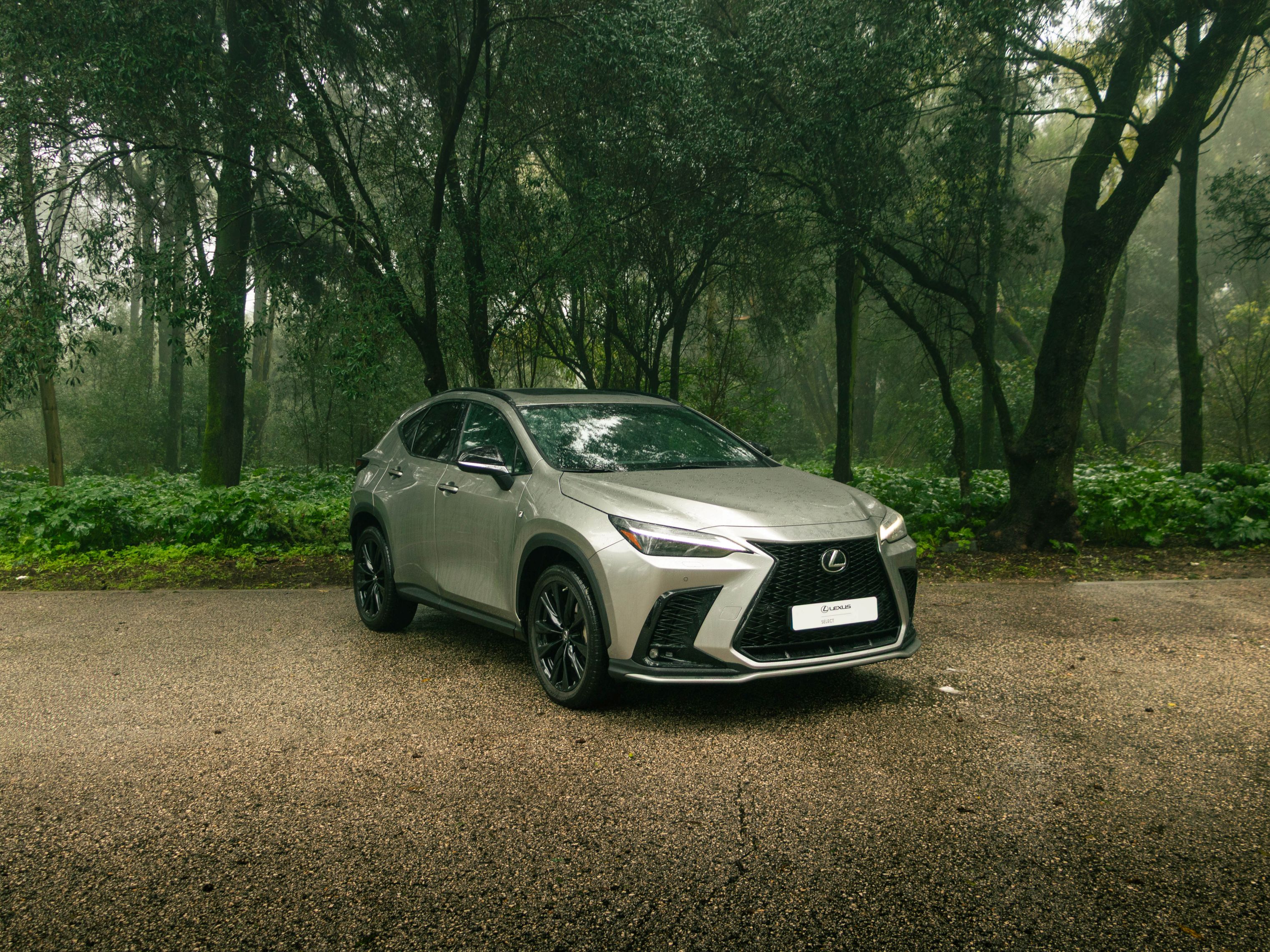 LEXUS NX450H+ NX 450h+ F Sport