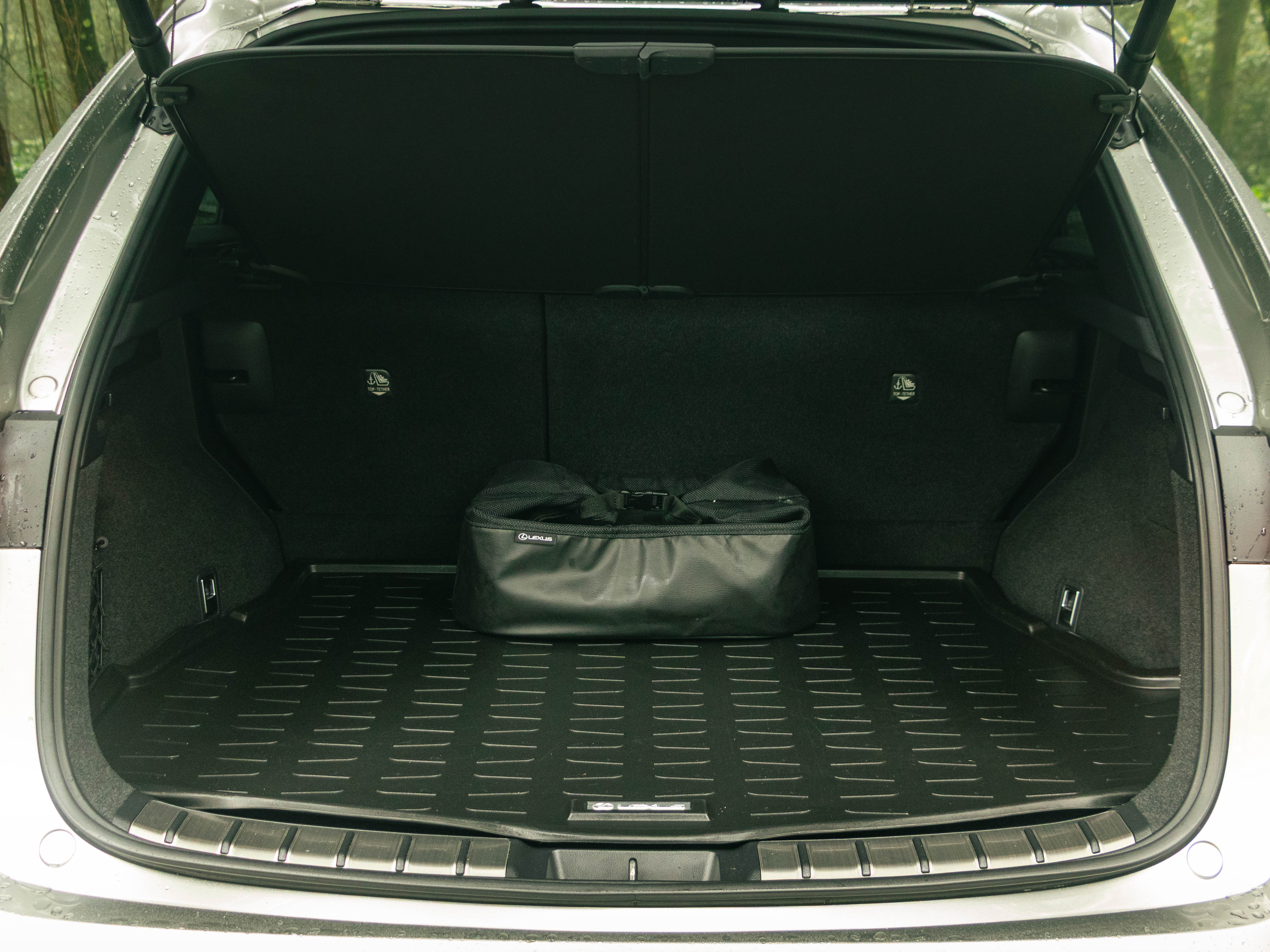 LEXUS NX450H+ NX 450h+ F Sport