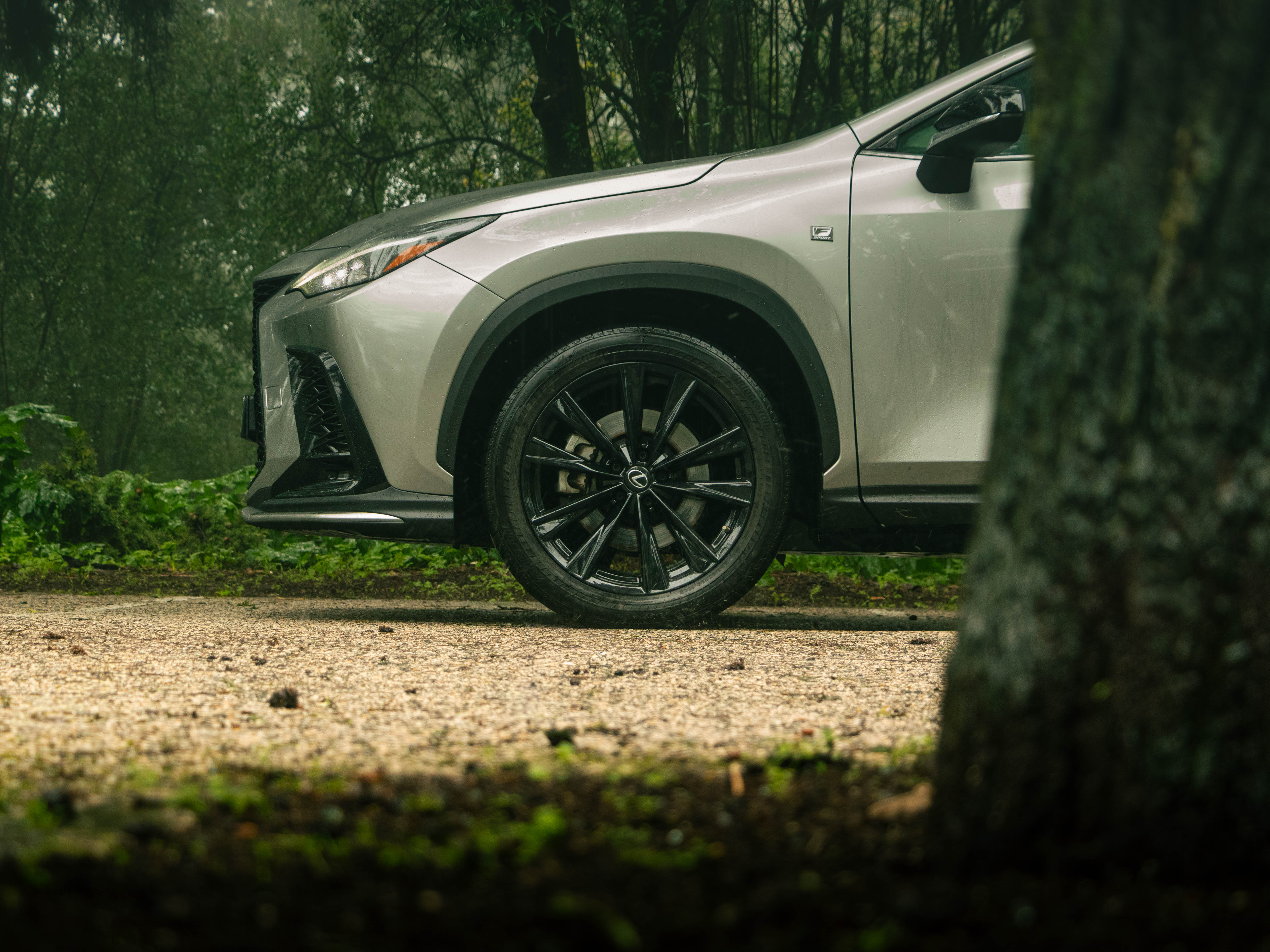 LEXUS NX450H+ NX 450h+ F Sport
