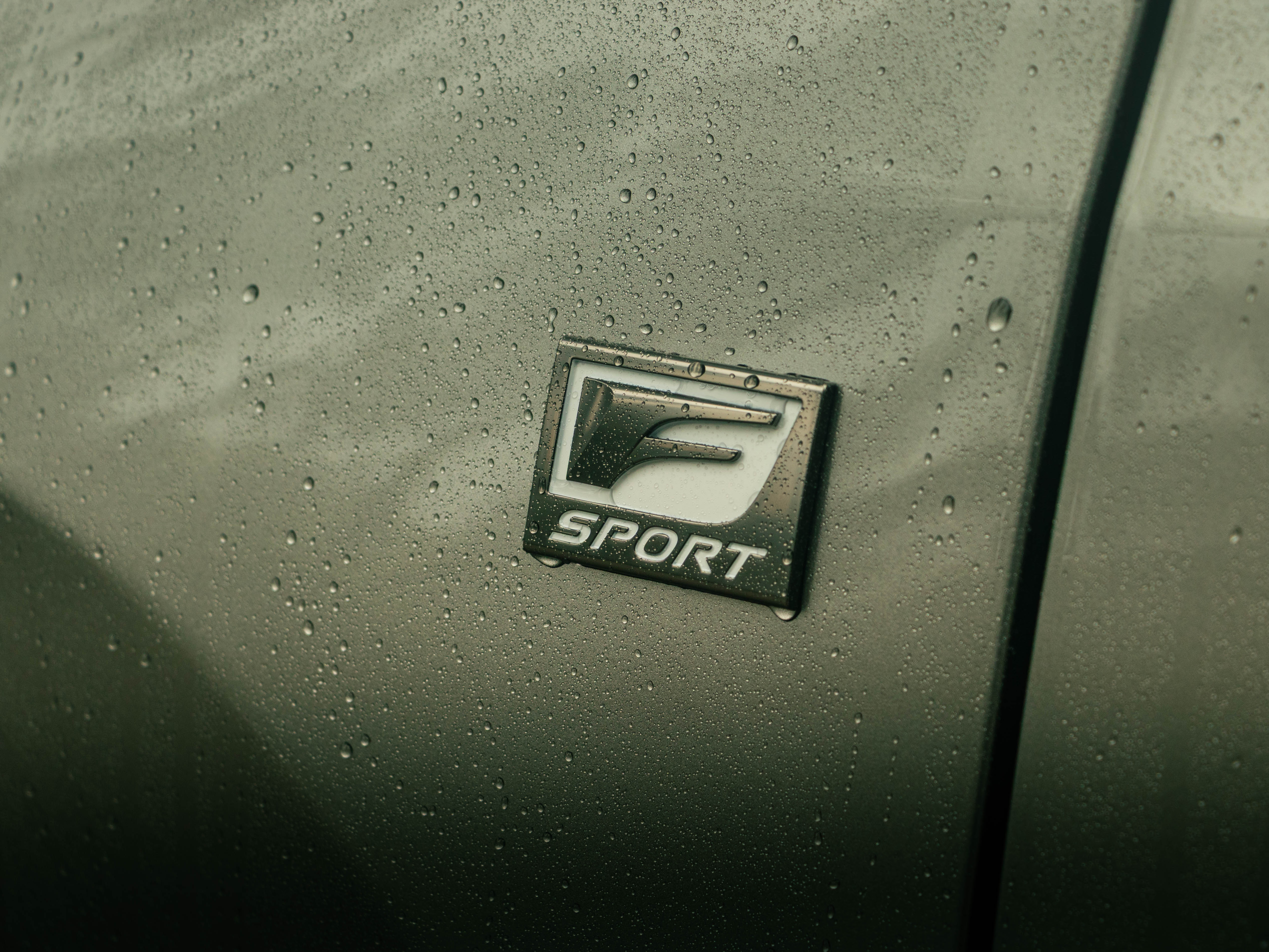 LEXUS NX450H+ NX 450h+ F Sport