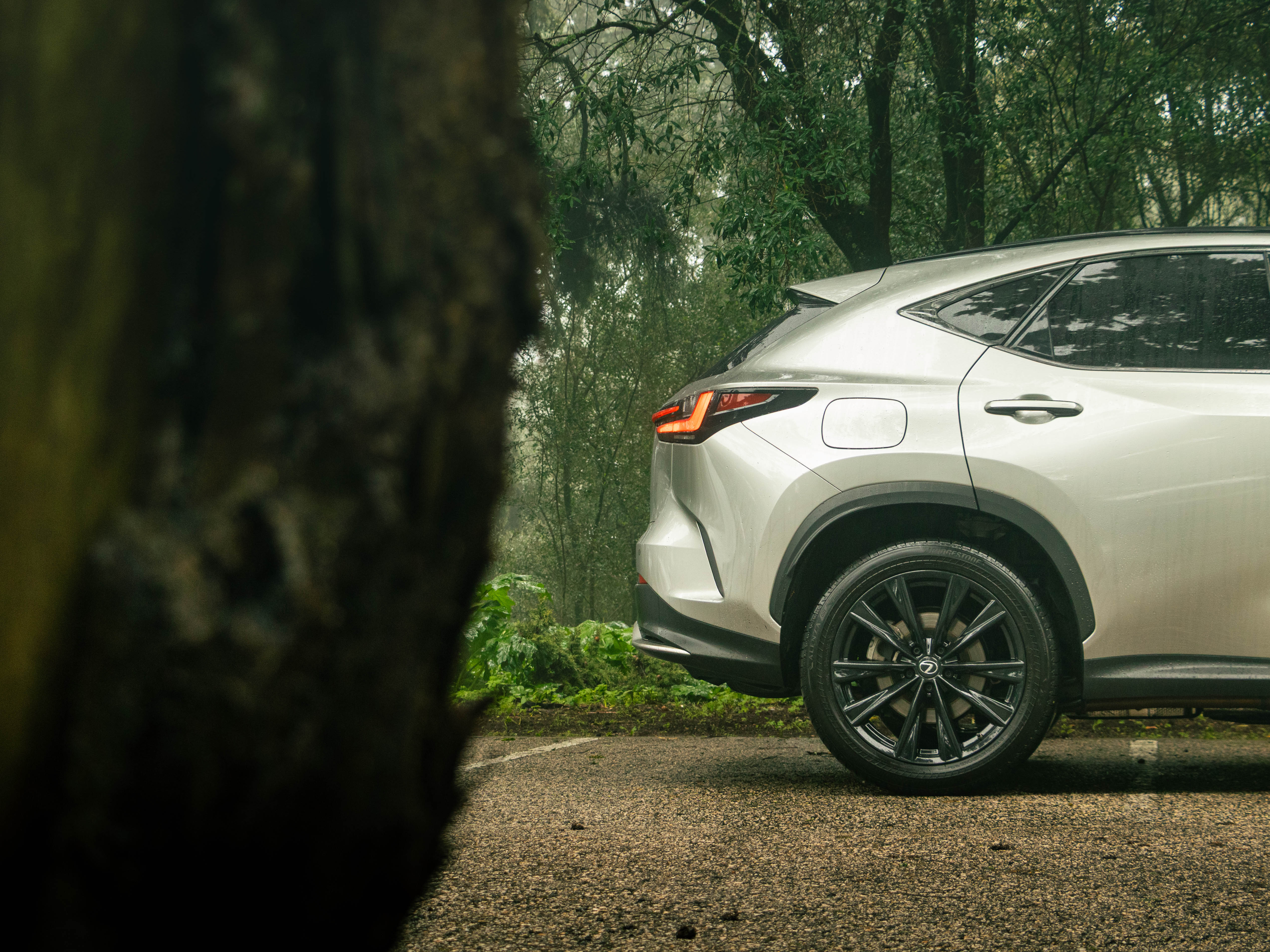 LEXUS NX450H+ NX 450h+ F Sport