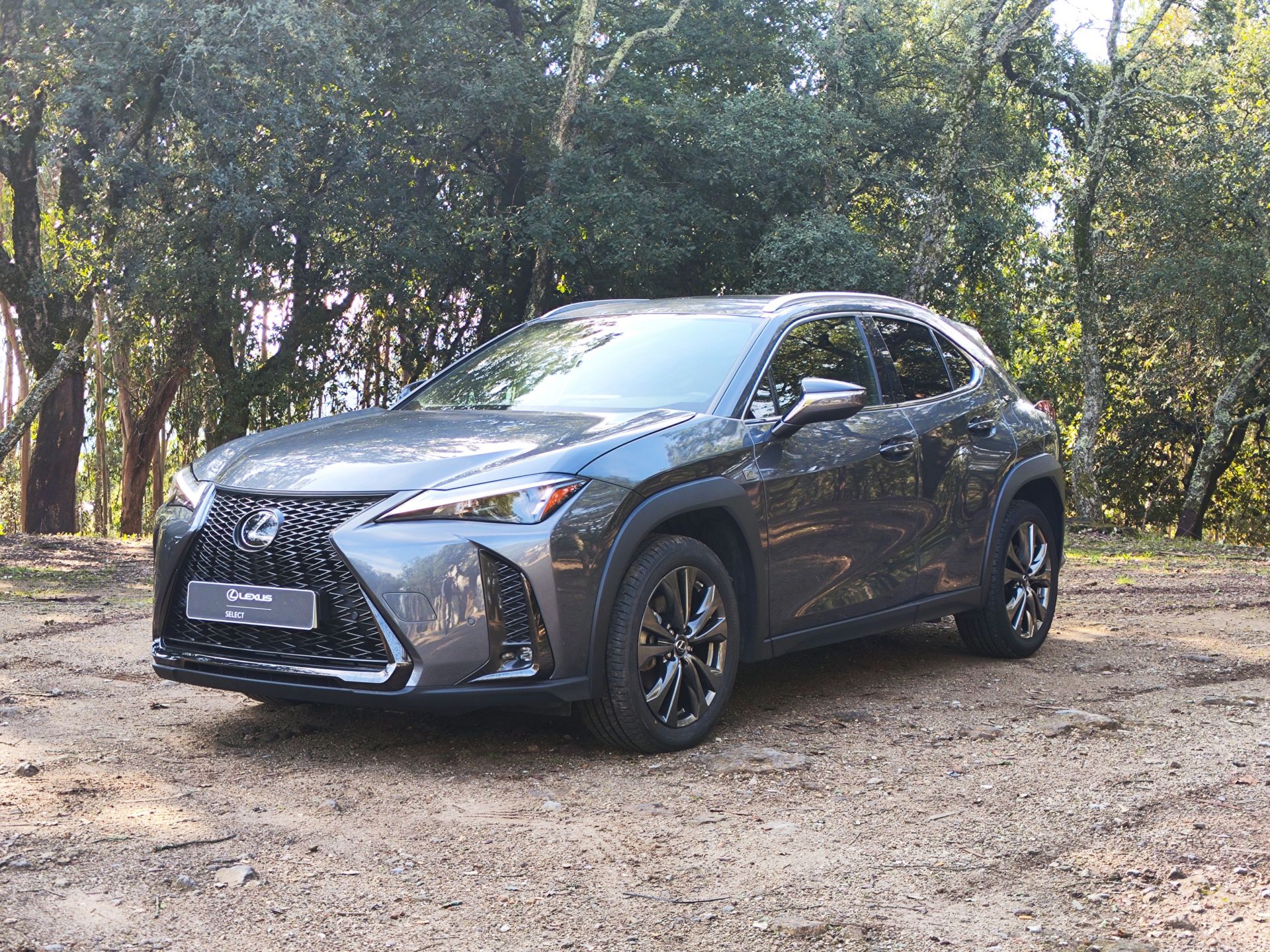 LEXUS UX 250H UX 250h Sport