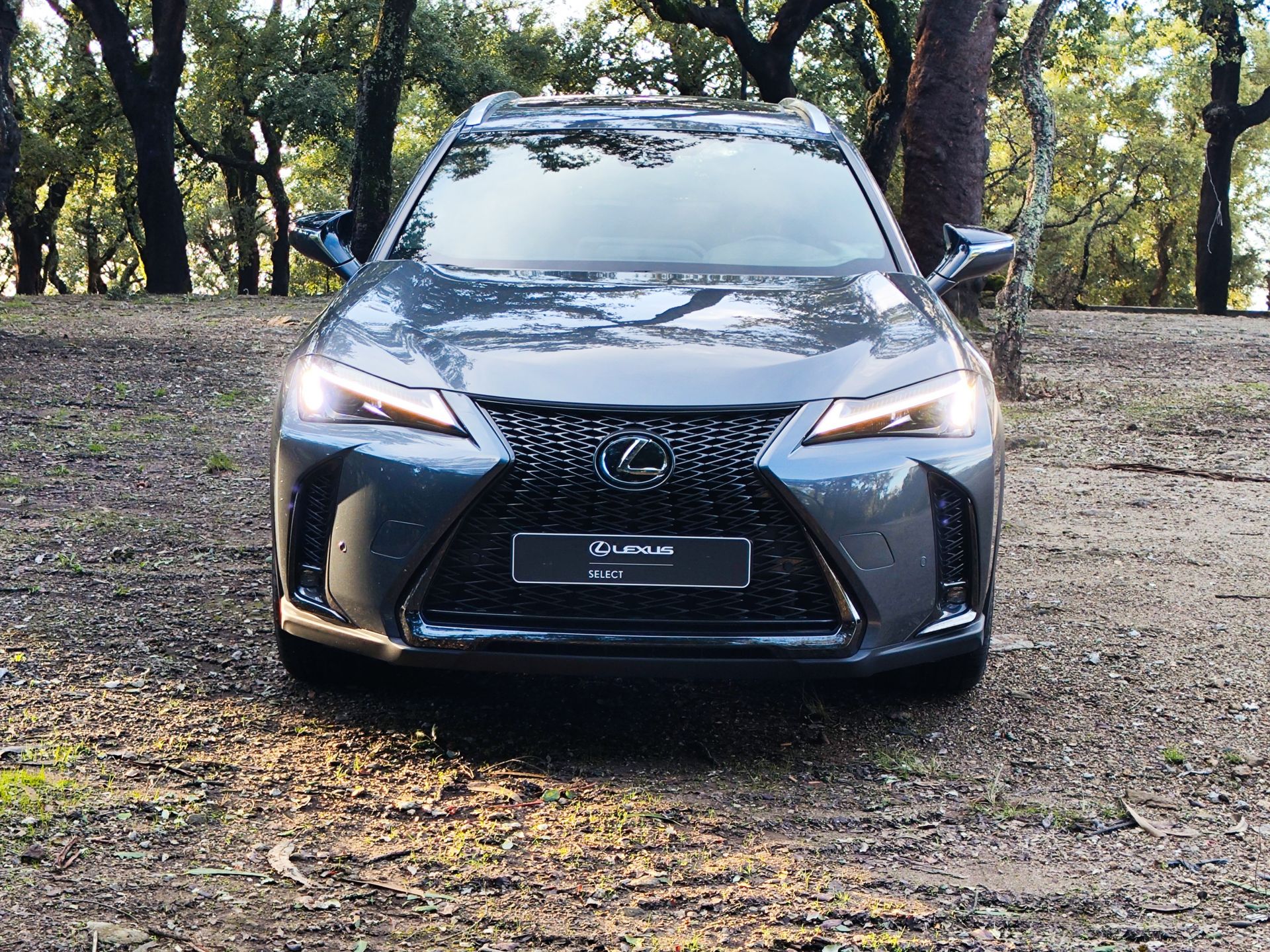 LEXUS UX 250H UX 250h Sport