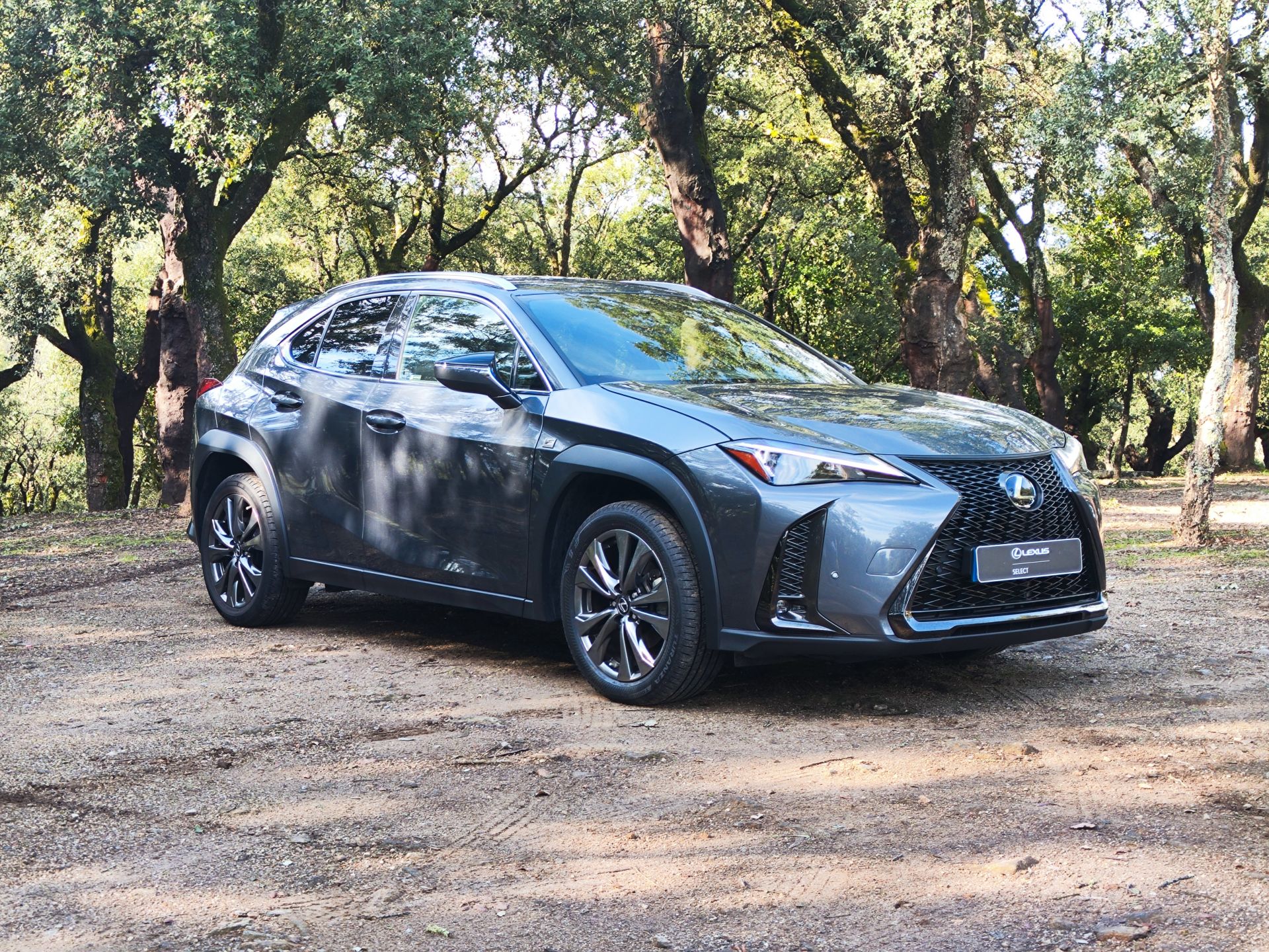 LEXUS UX 250H UX 250h Sport