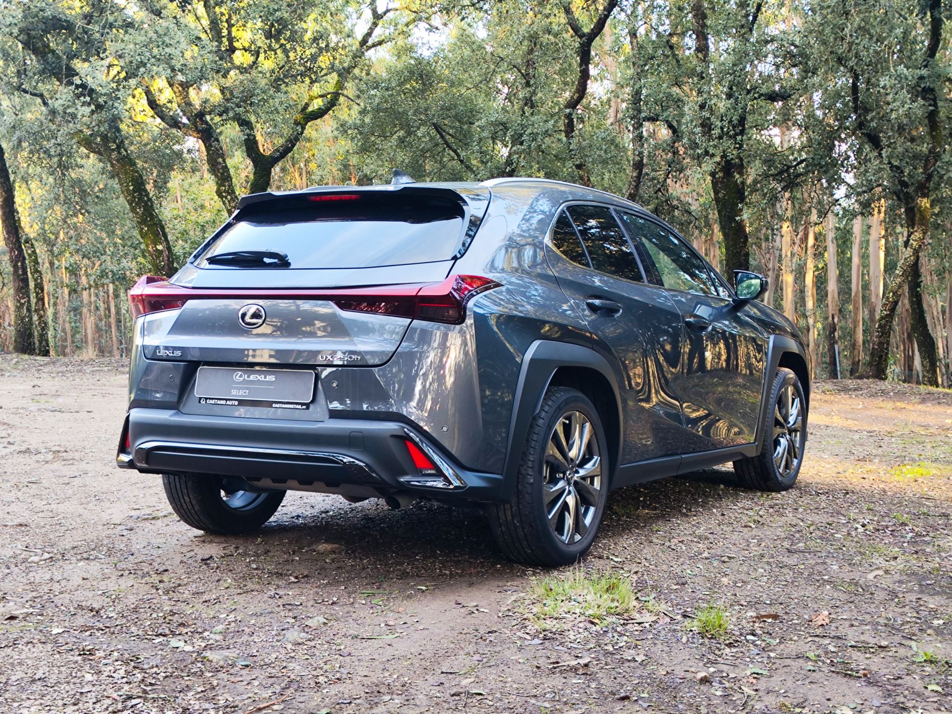 LEXUS UX 250H UX 250h Sport