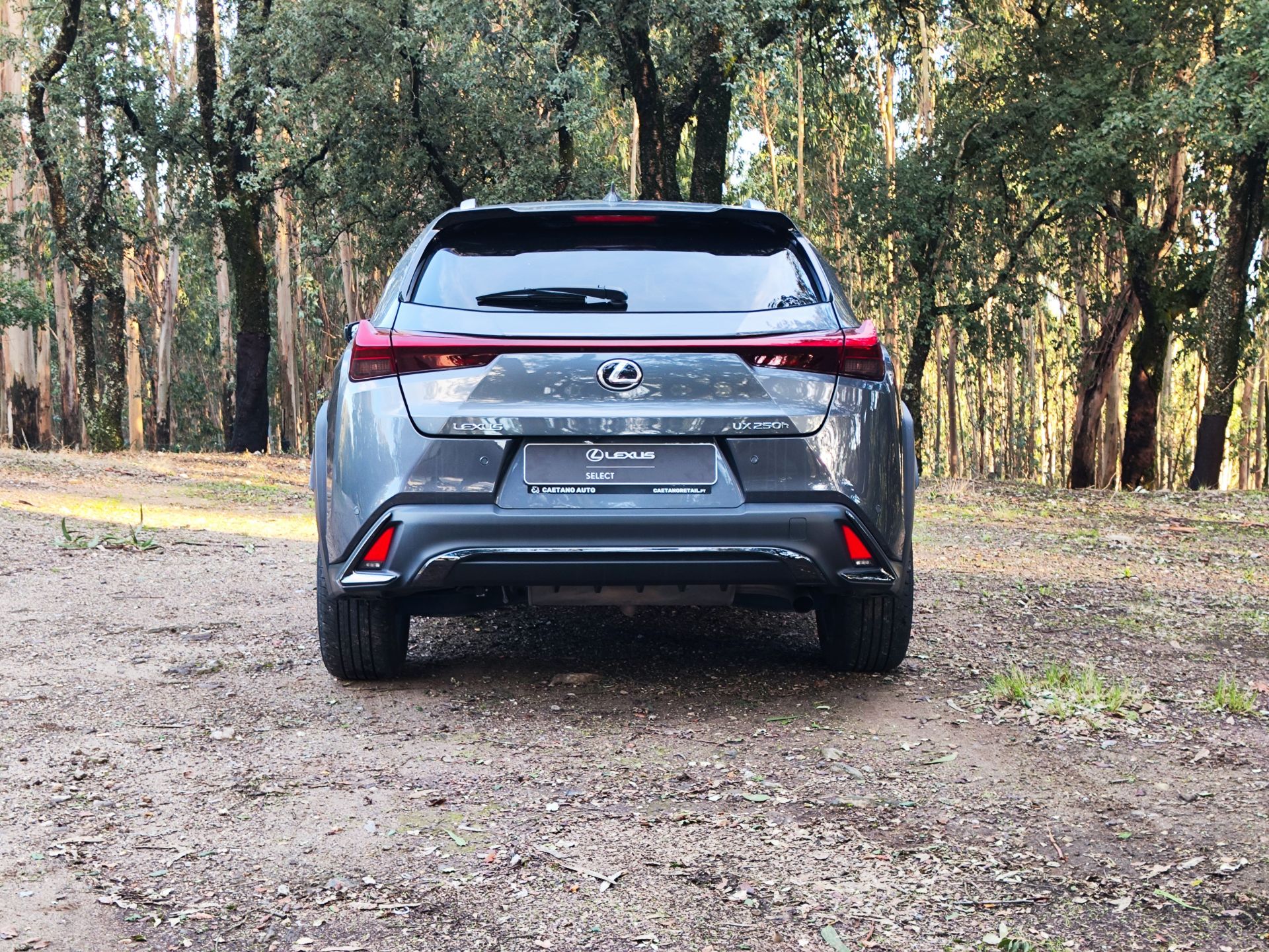 LEXUS UX 250H UX 250h Sport