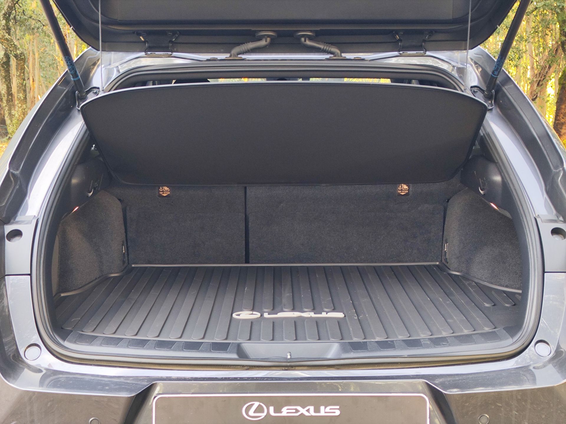 LEXUS UX 250H UX 250h Sport