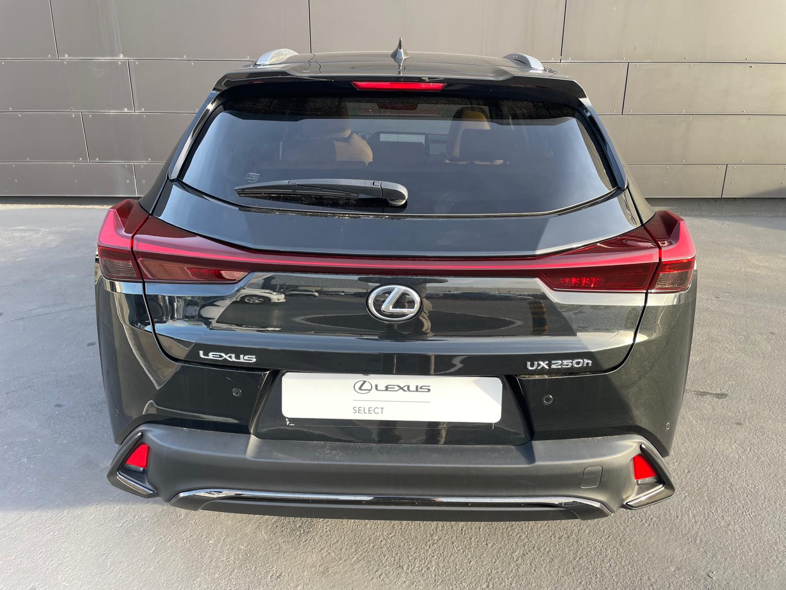 LEXUS UX 250H UX 250h Sport