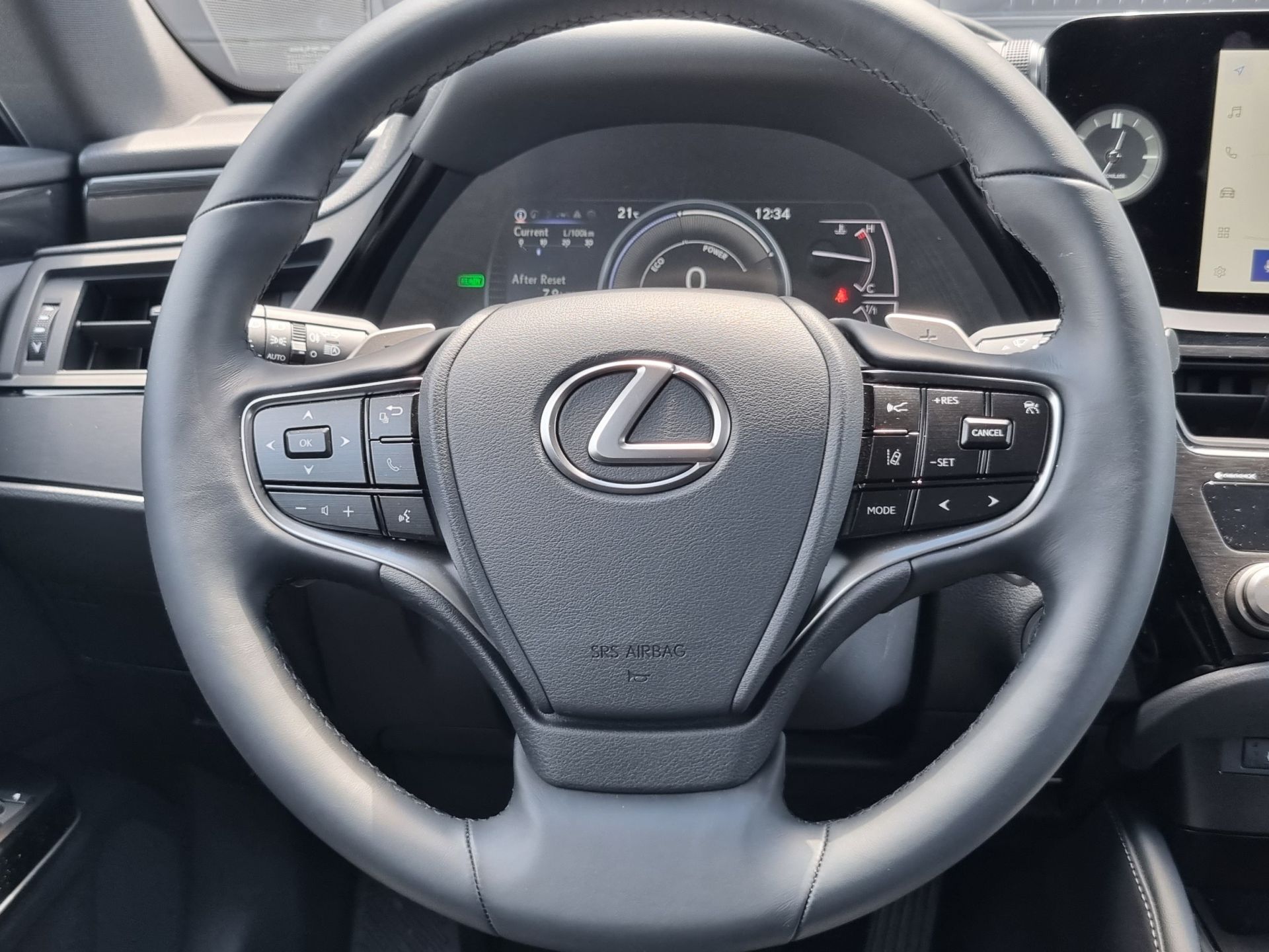 LEXUS ES 300H ES 300h Sport