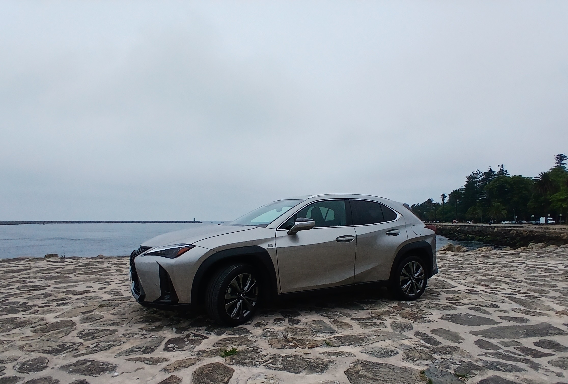LEXUS UX 250H UX 250h Sport