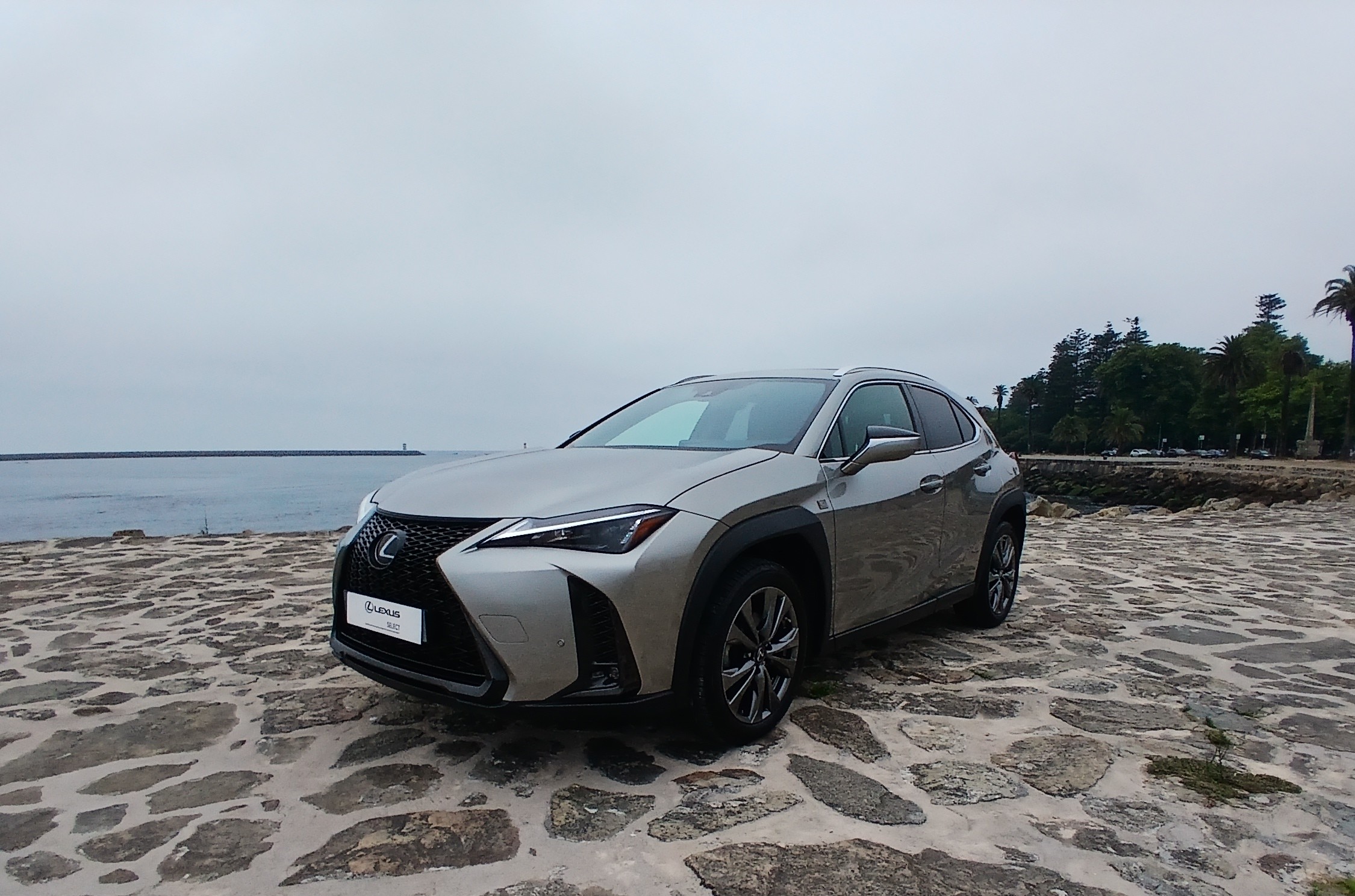LEXUS UX 250H UX 250h Sport