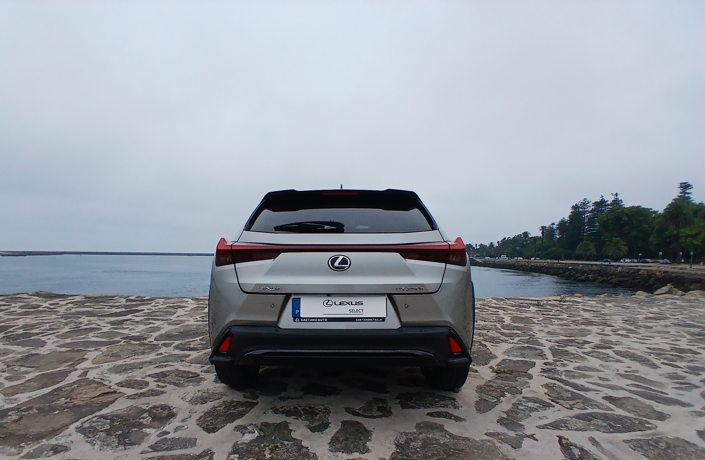 LEXUS UX 250H UX 250h Sport
