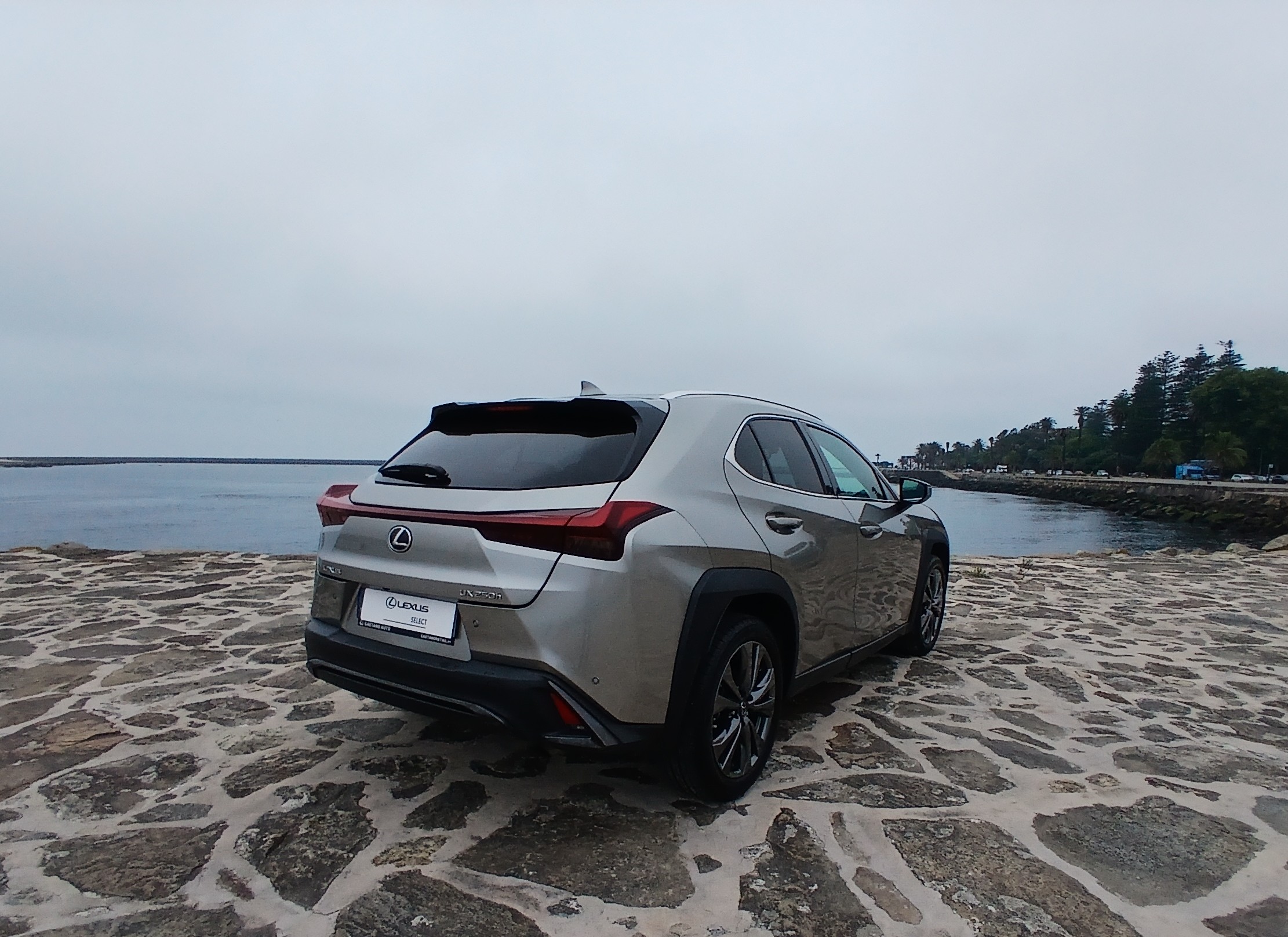 LEXUS UX 250H UX 250h Sport