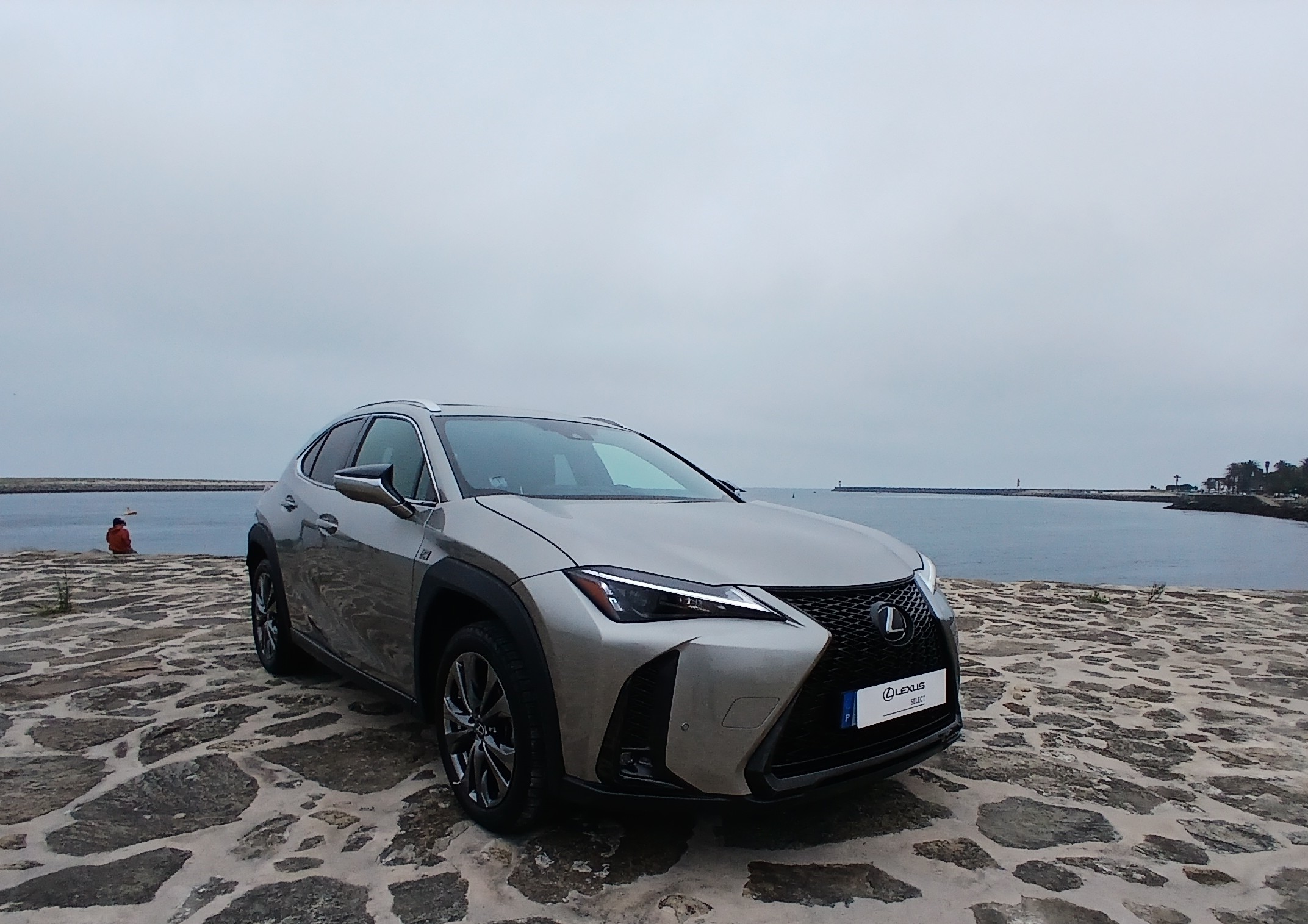 LEXUS UX 250H UX 250h Sport