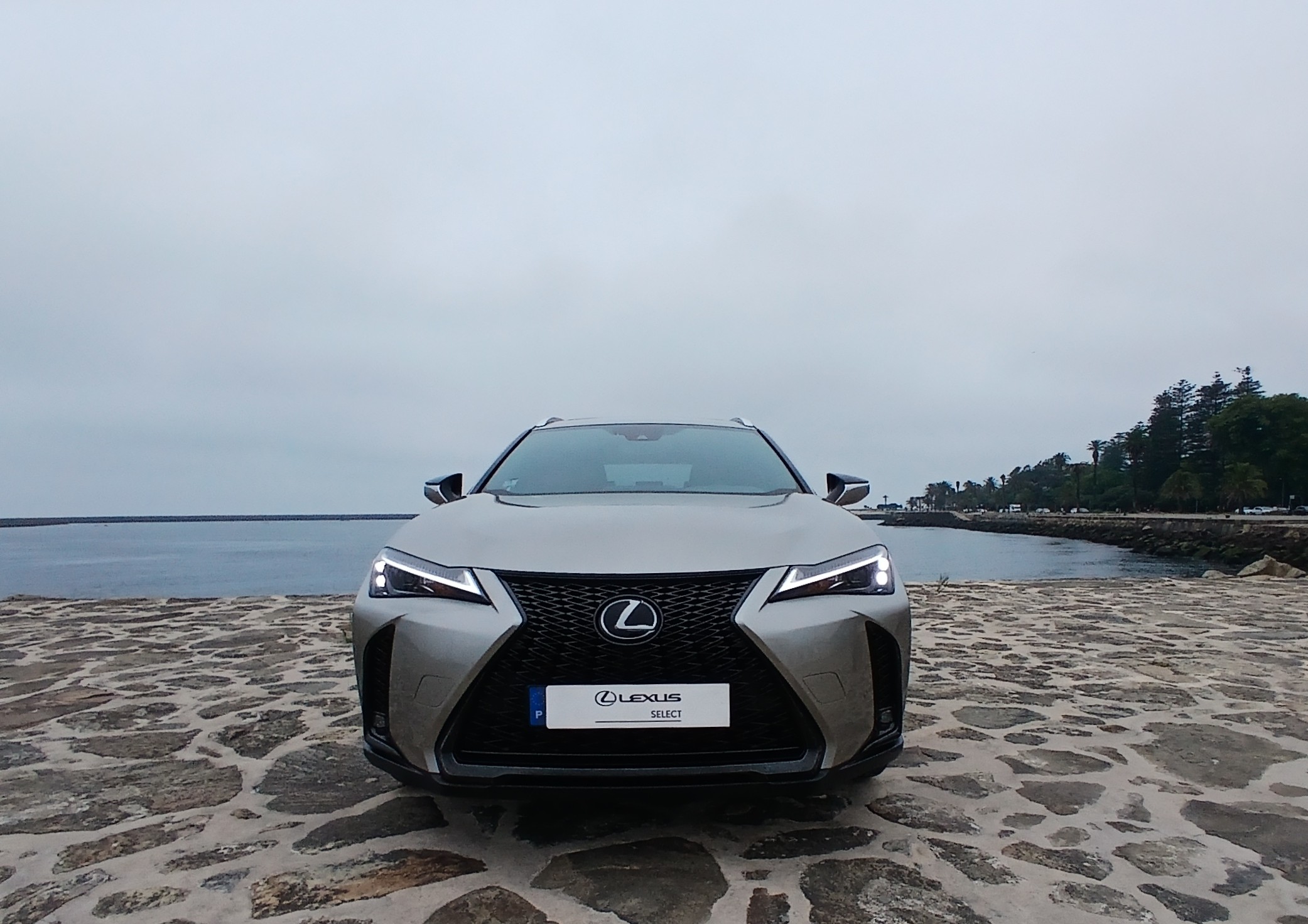 LEXUS UX 250H UX 250h Sport