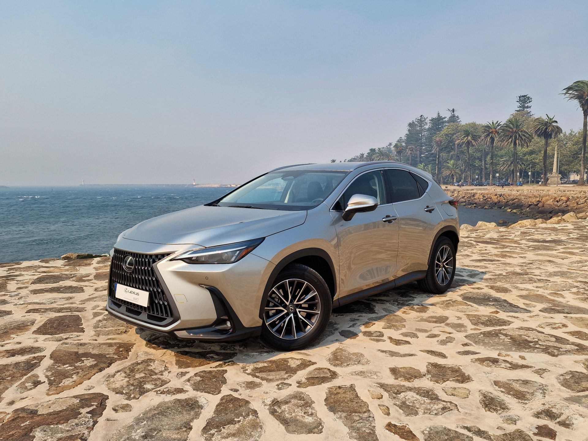 LEXUS NX450H+ NX 450h+ Executive Plus