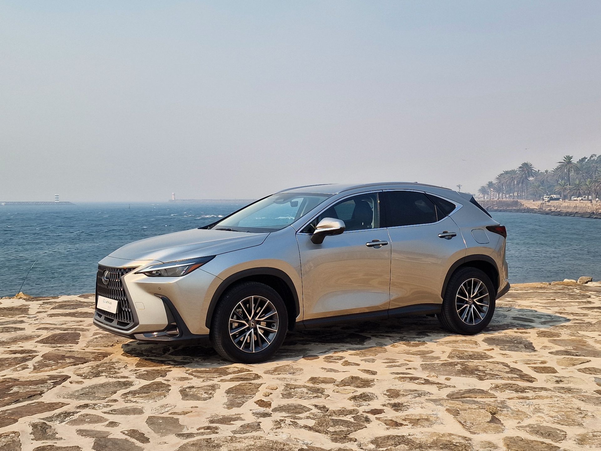 LEXUS NX450H+ NX 450h+ Executive Plus