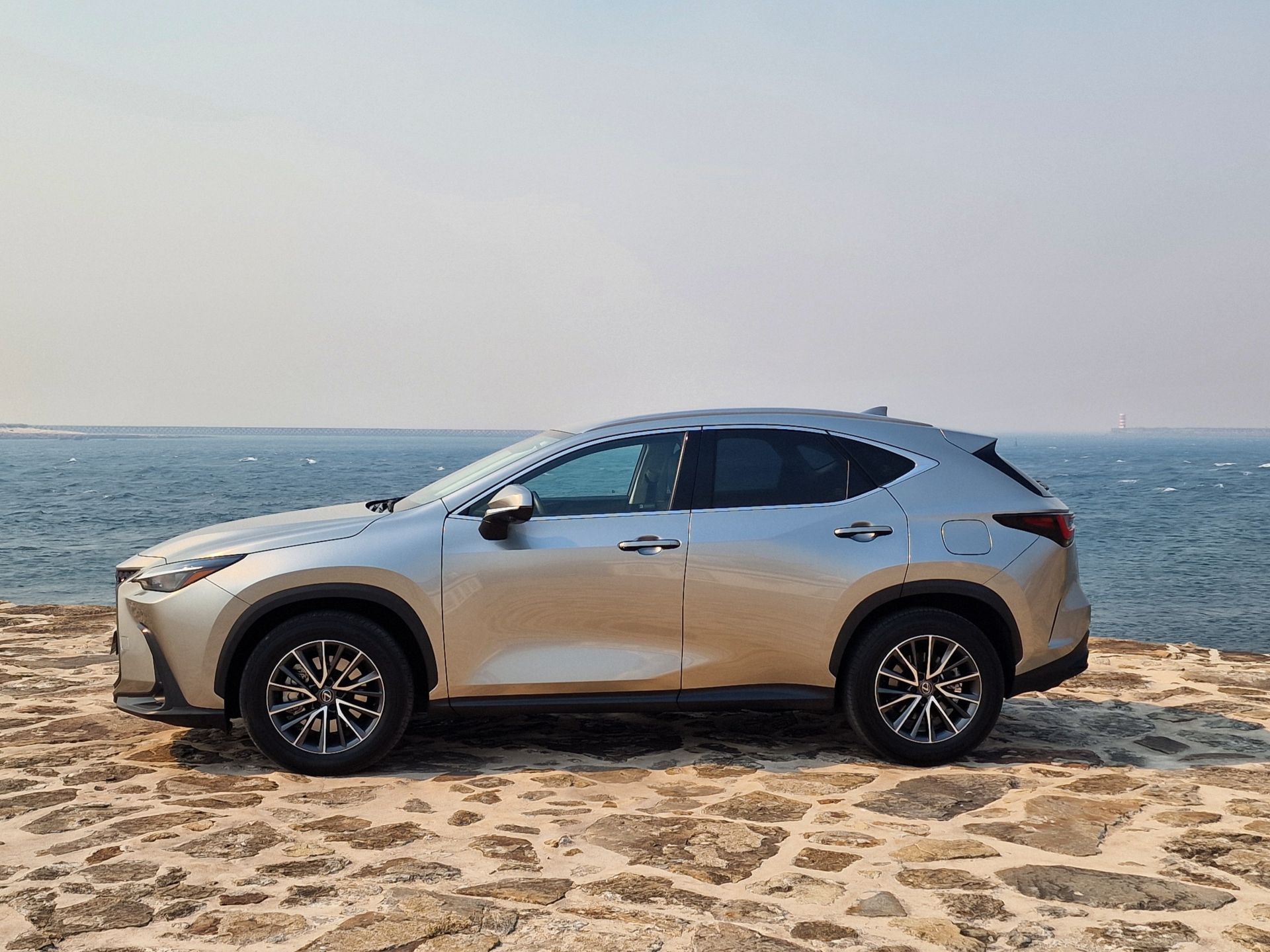 LEXUS NX450H+ NX 450h+ Executive Plus