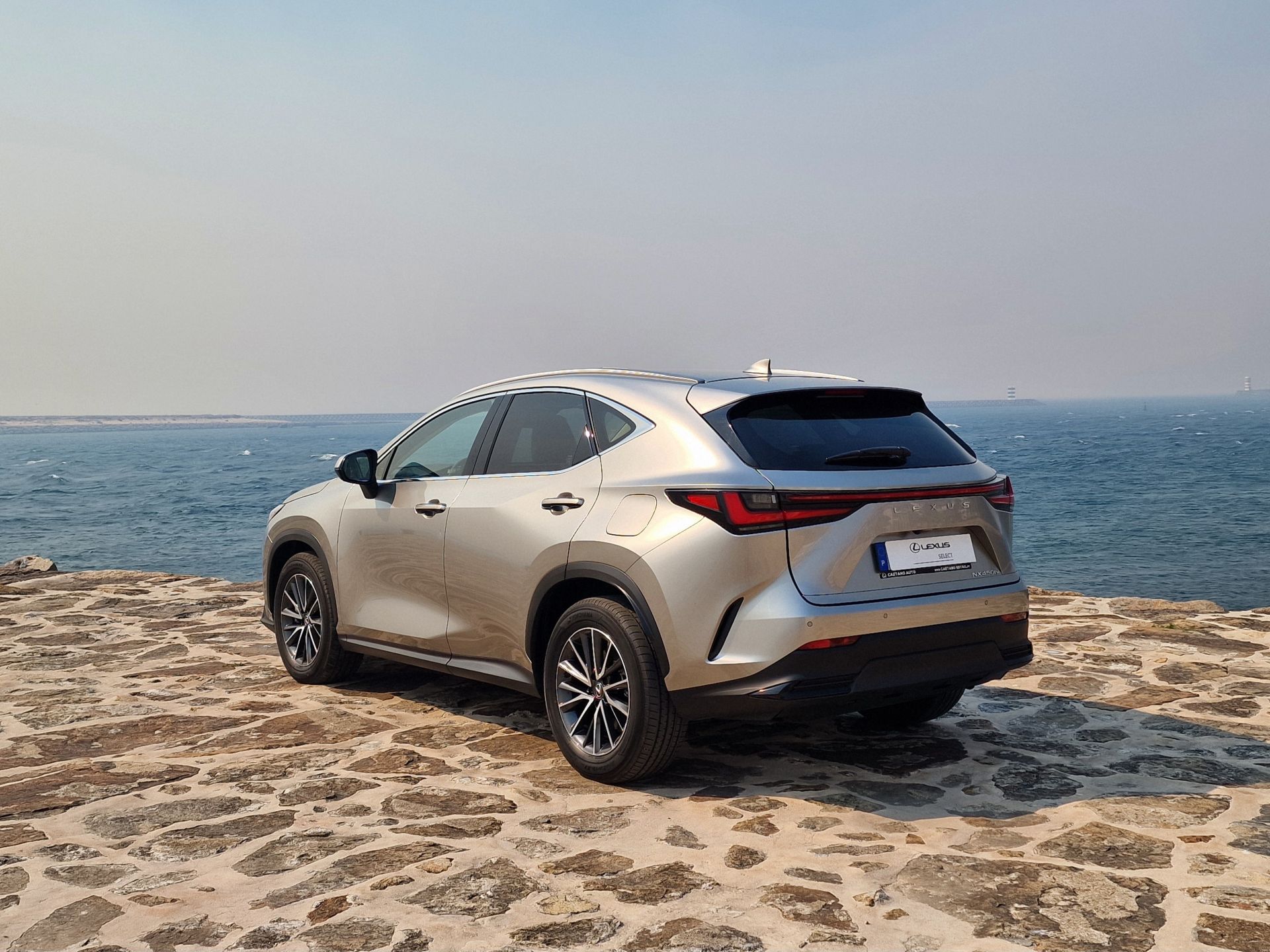 LEXUS NX450H+ NX 450h+ Executive Plus