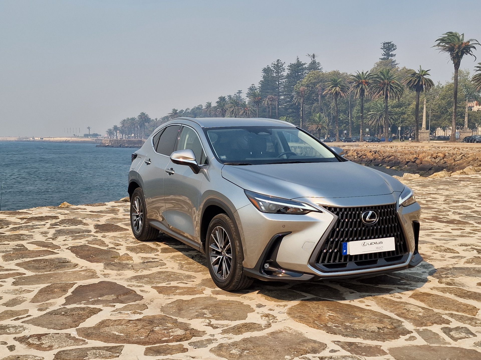 LEXUS NX450H+ NX 450h+ Executive Plus