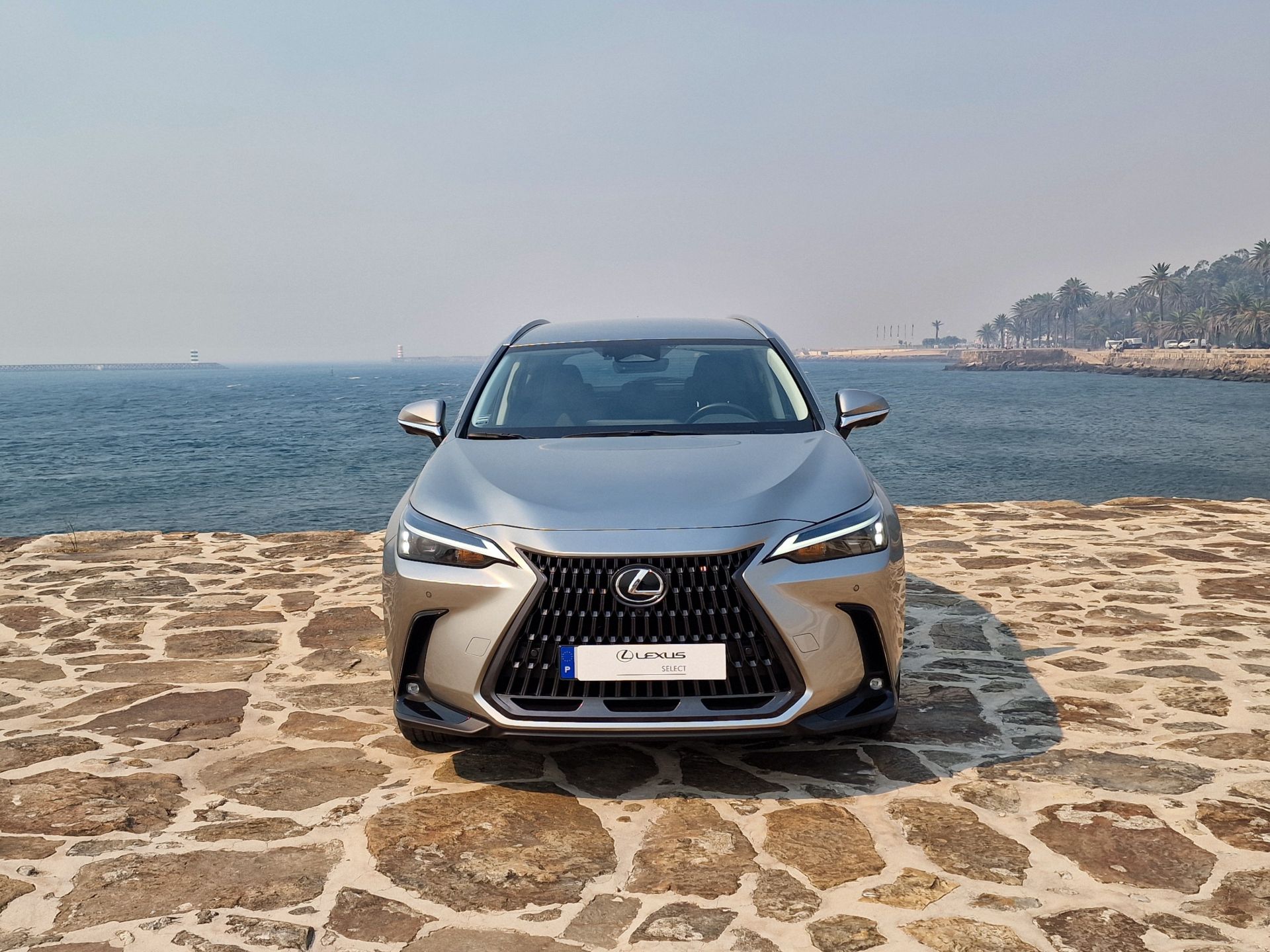 LEXUS NX450H+ NX 450h+ Executive Plus