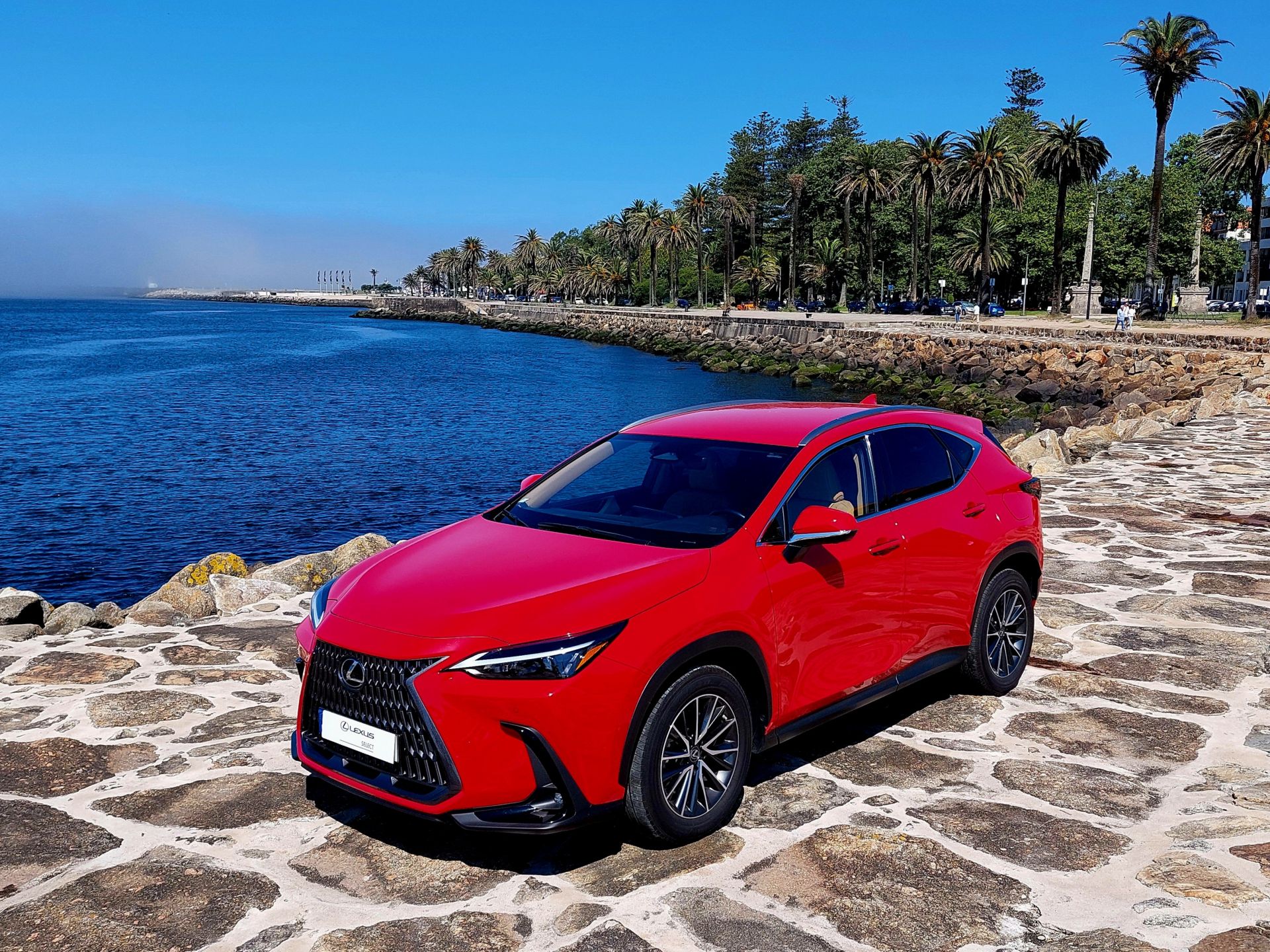 LEXUS NX450H+ NX 450h+ Executive Plus