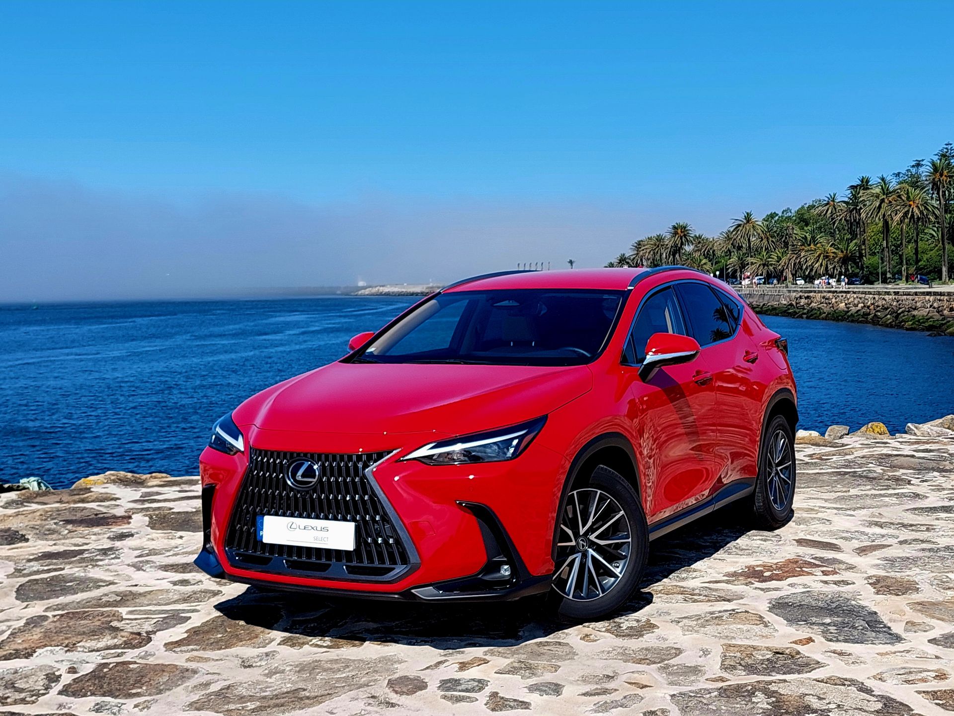 LEXUS NX450H+ NX 450h+ Executive Plus