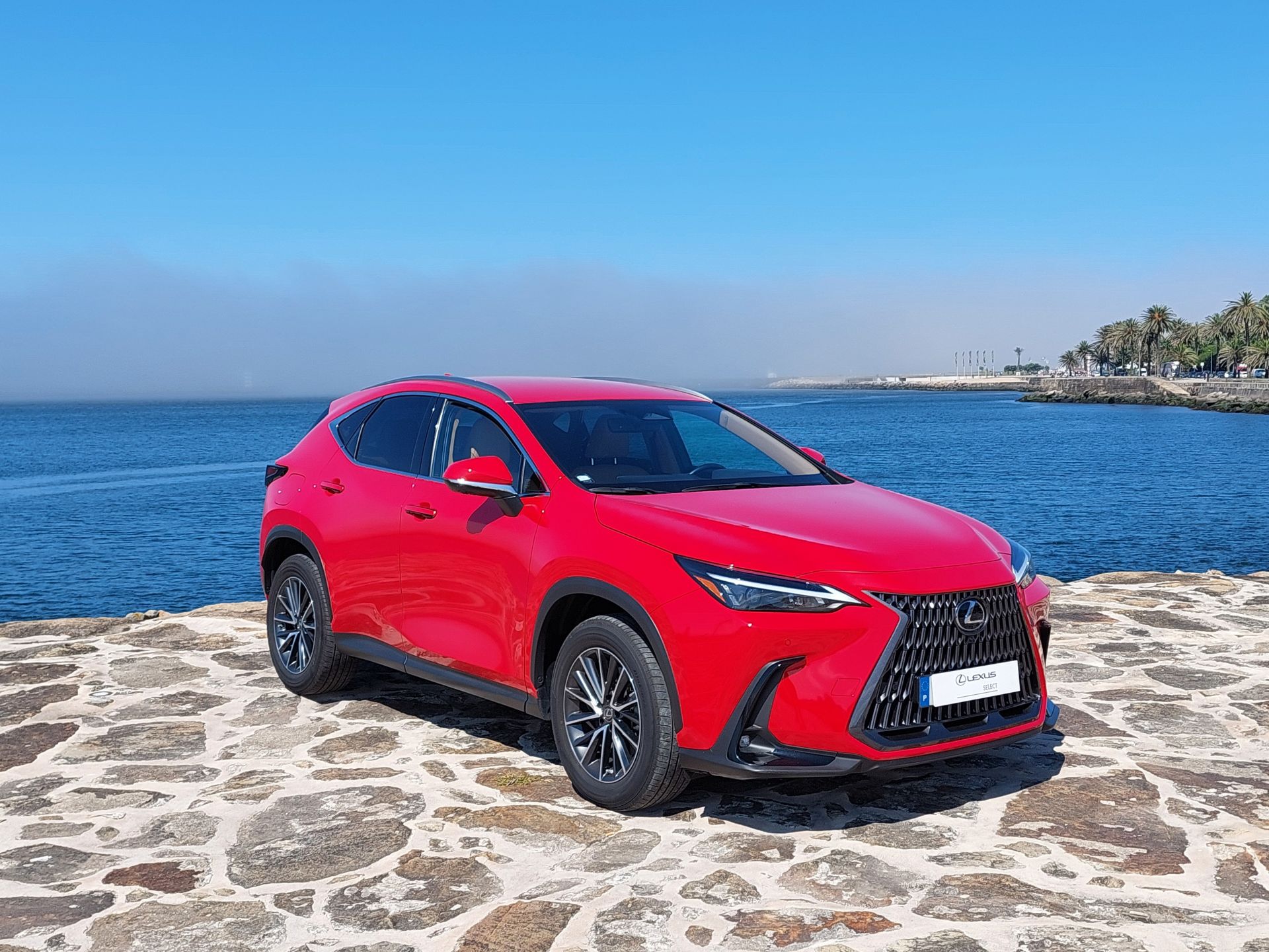 LEXUS NX450H+ NX 450h+ Executive Plus