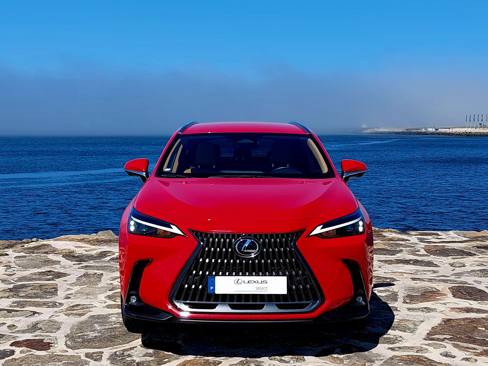 LEXUS NX450H+ NX 450h+ Executive Plus